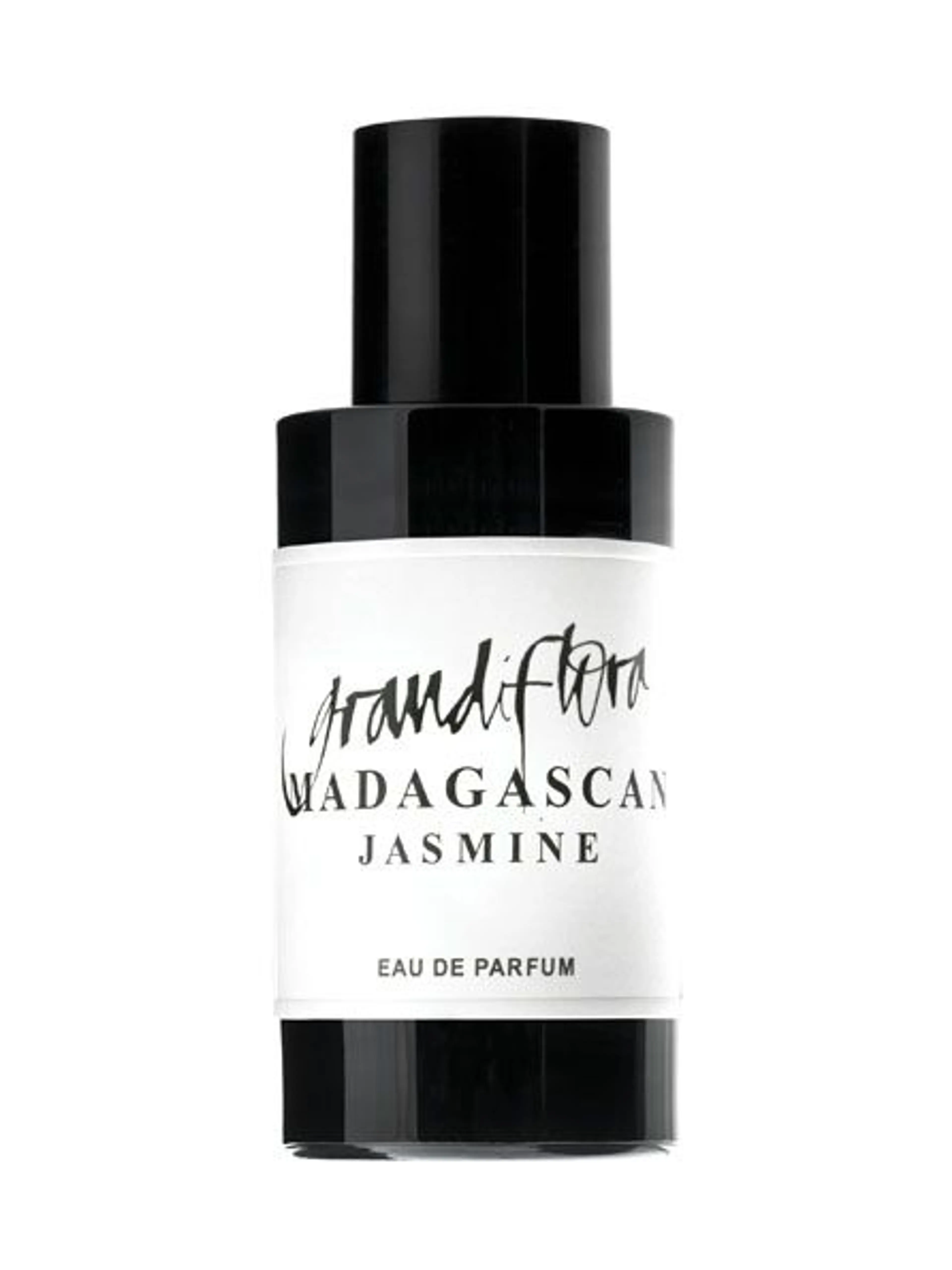 Madagascan Jasmine