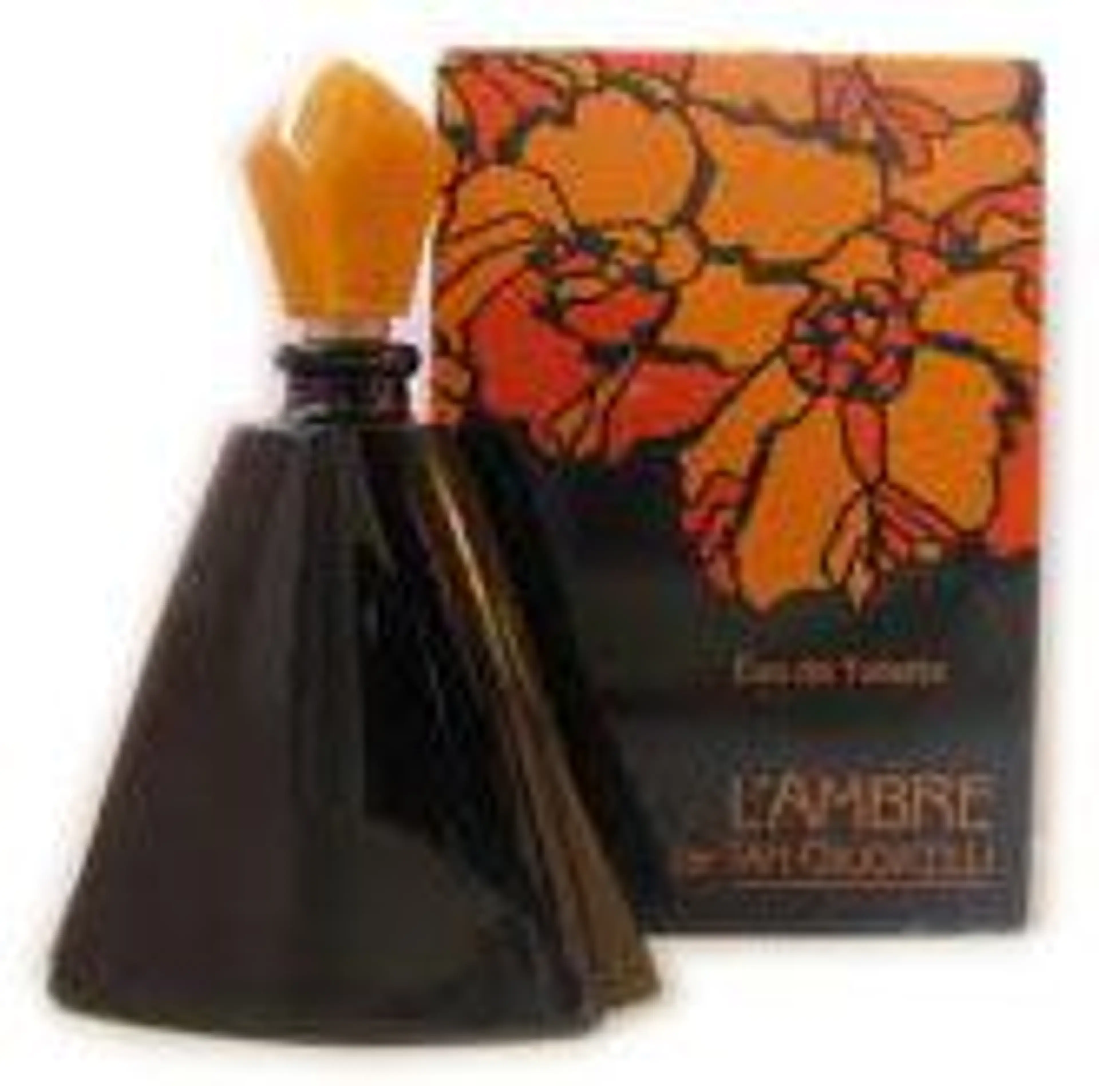 L'Ambre de Tan Giudicelli