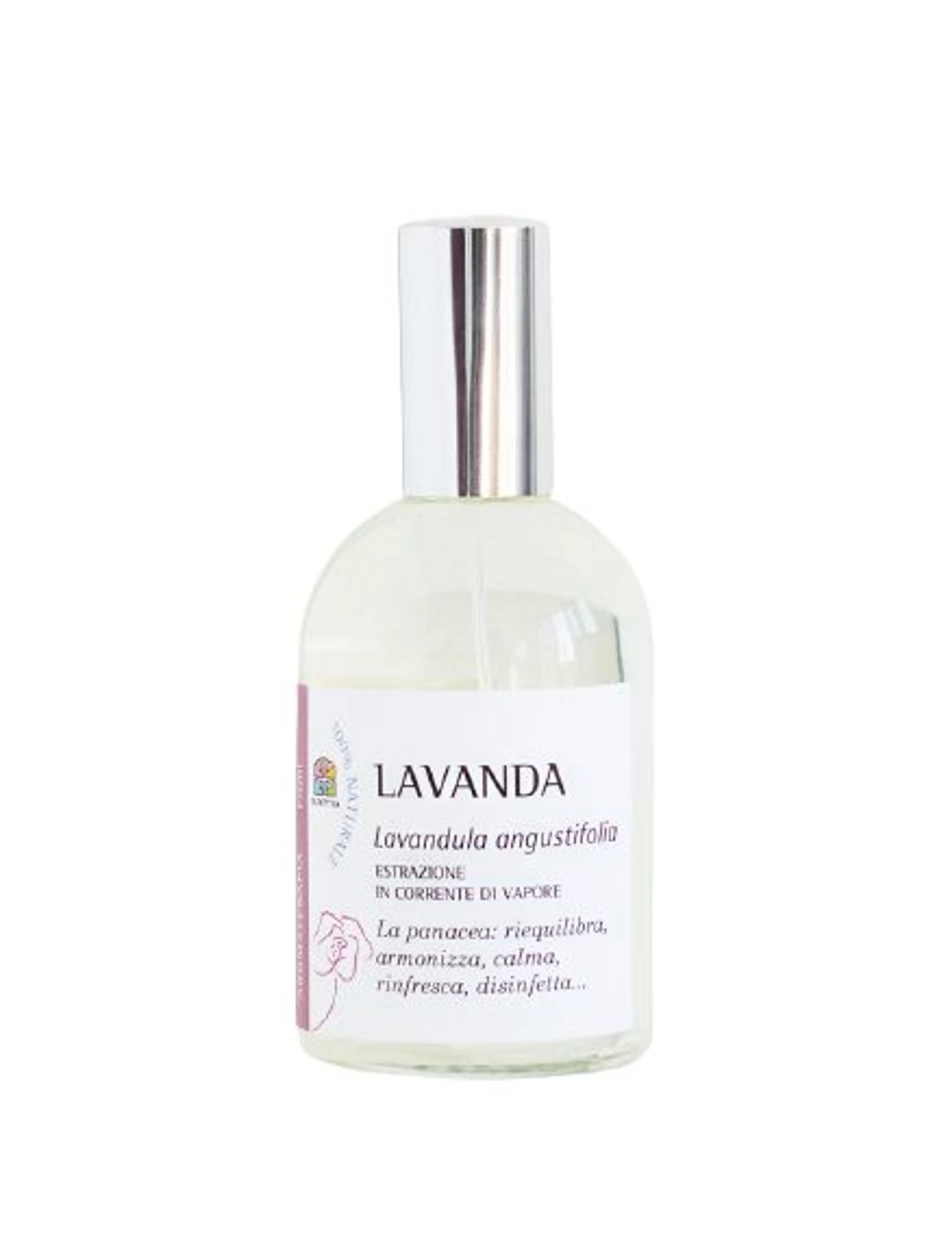 Lavanda
