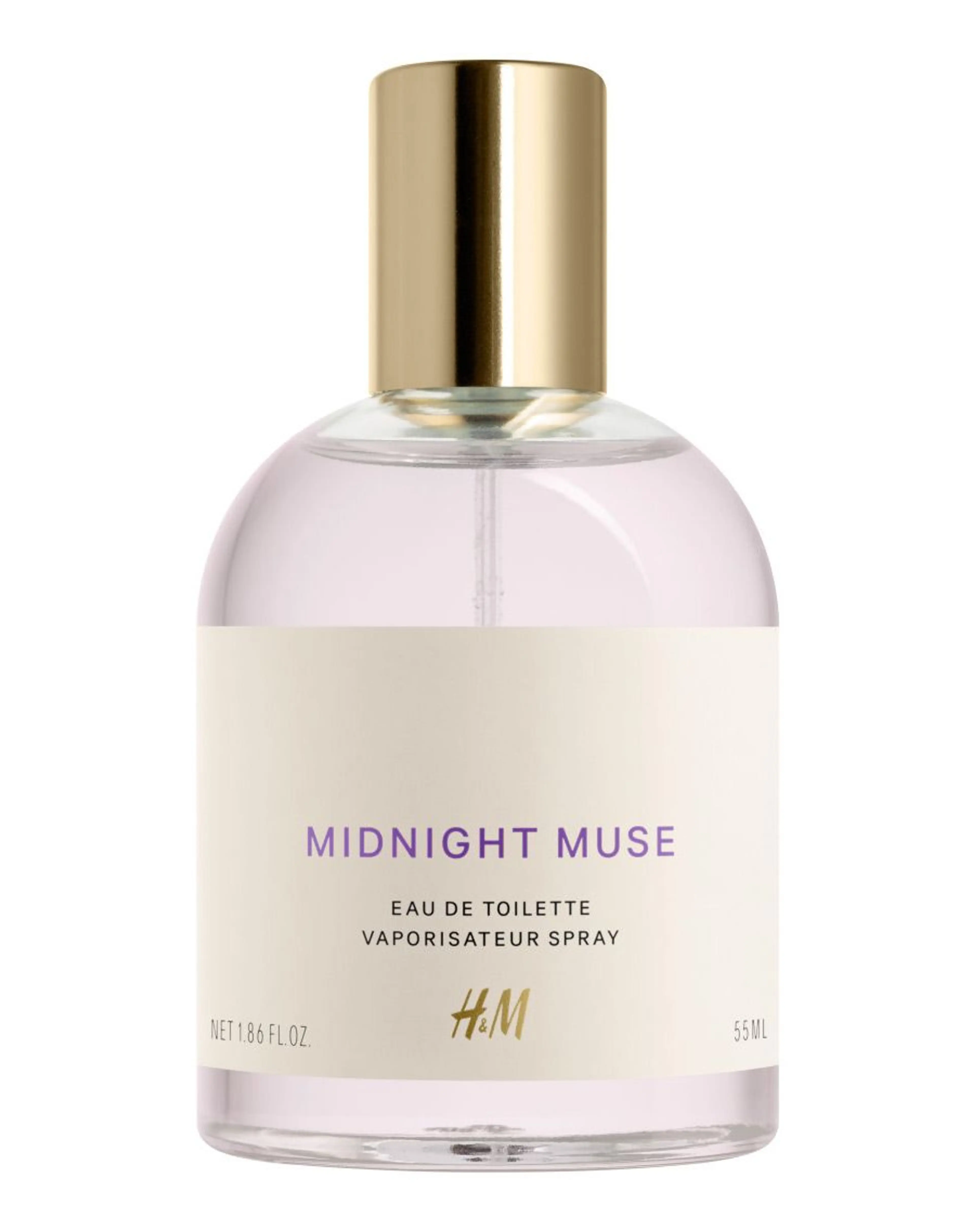 Midnight Muse