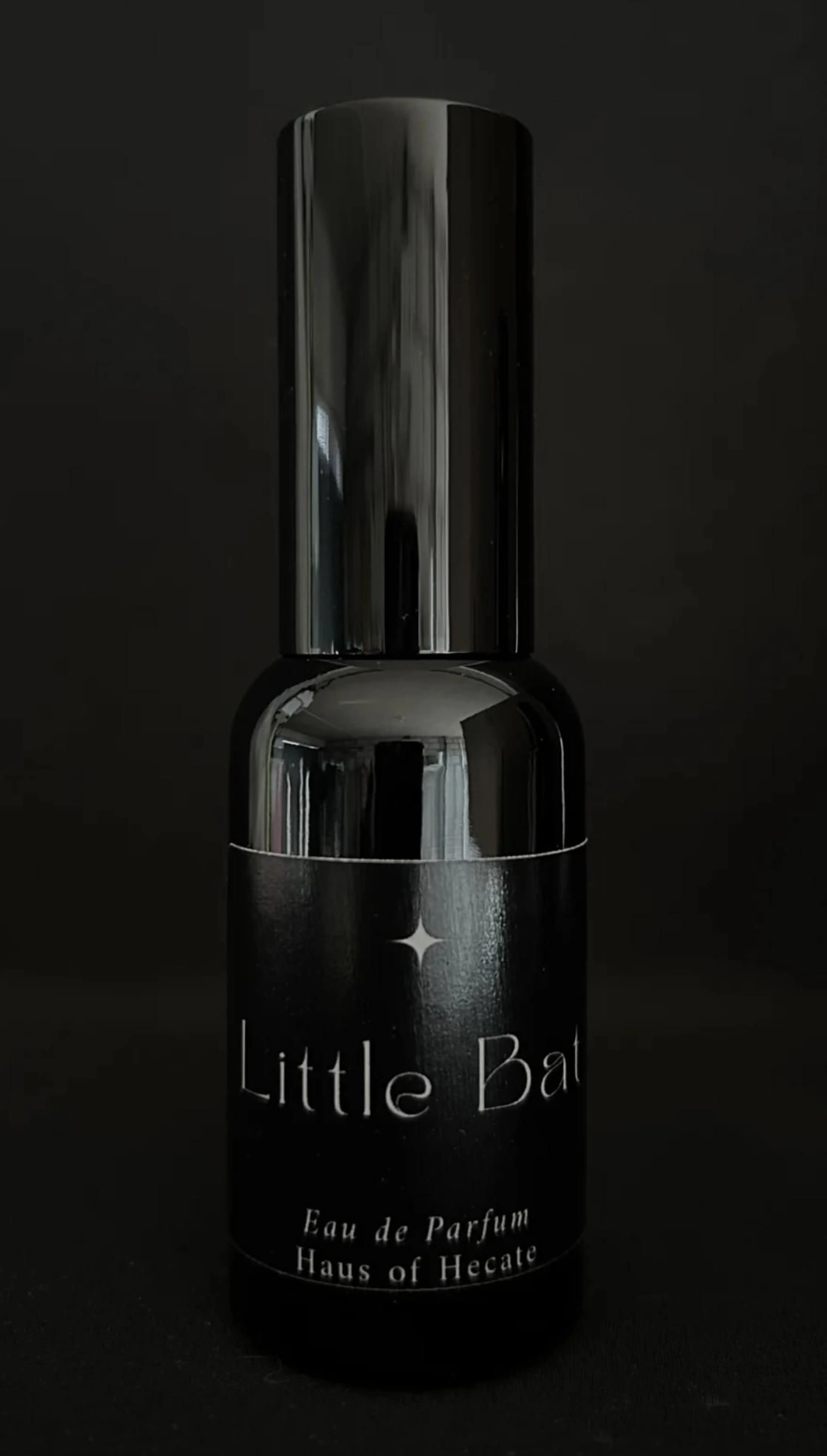 Little Bat
