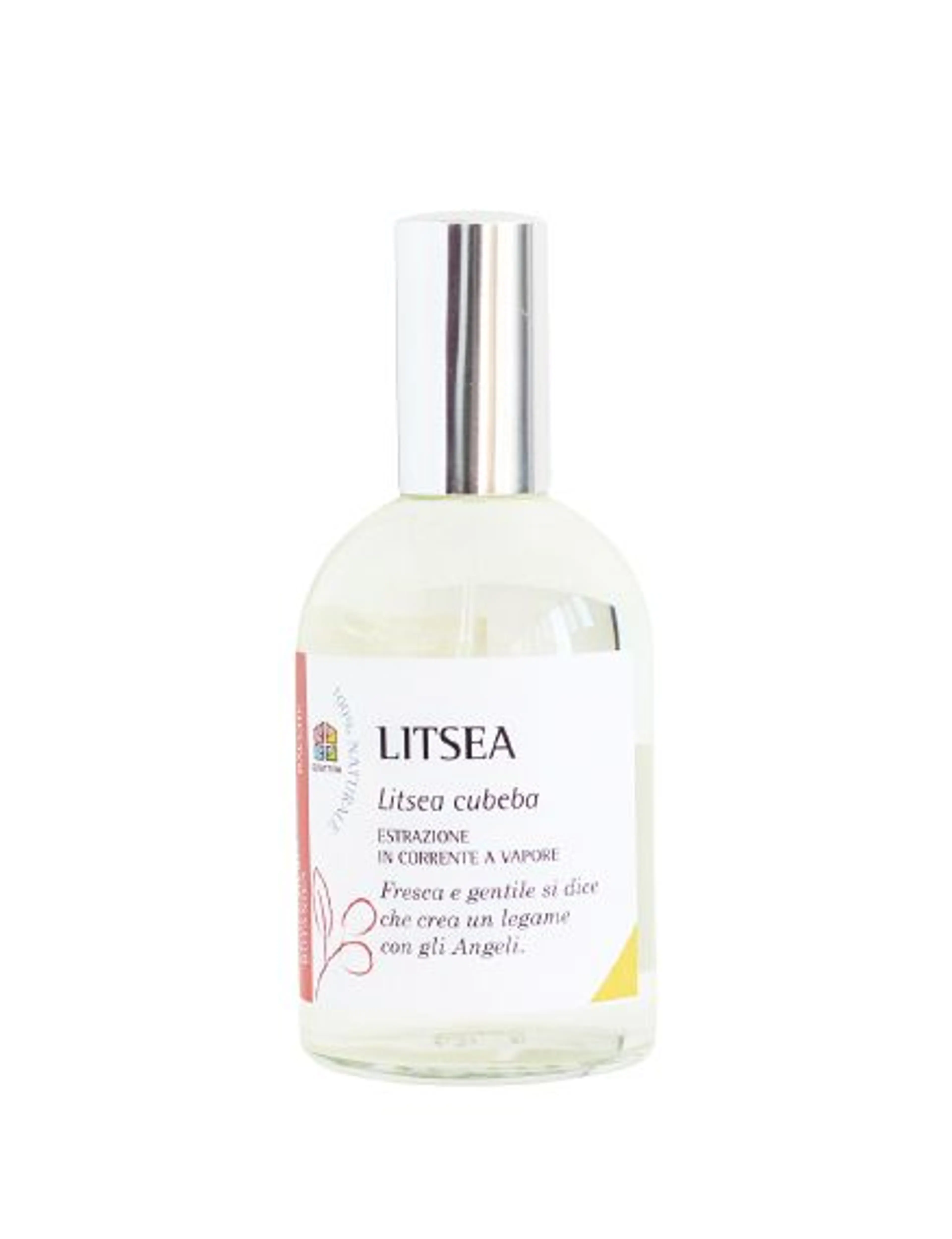 Litsea
