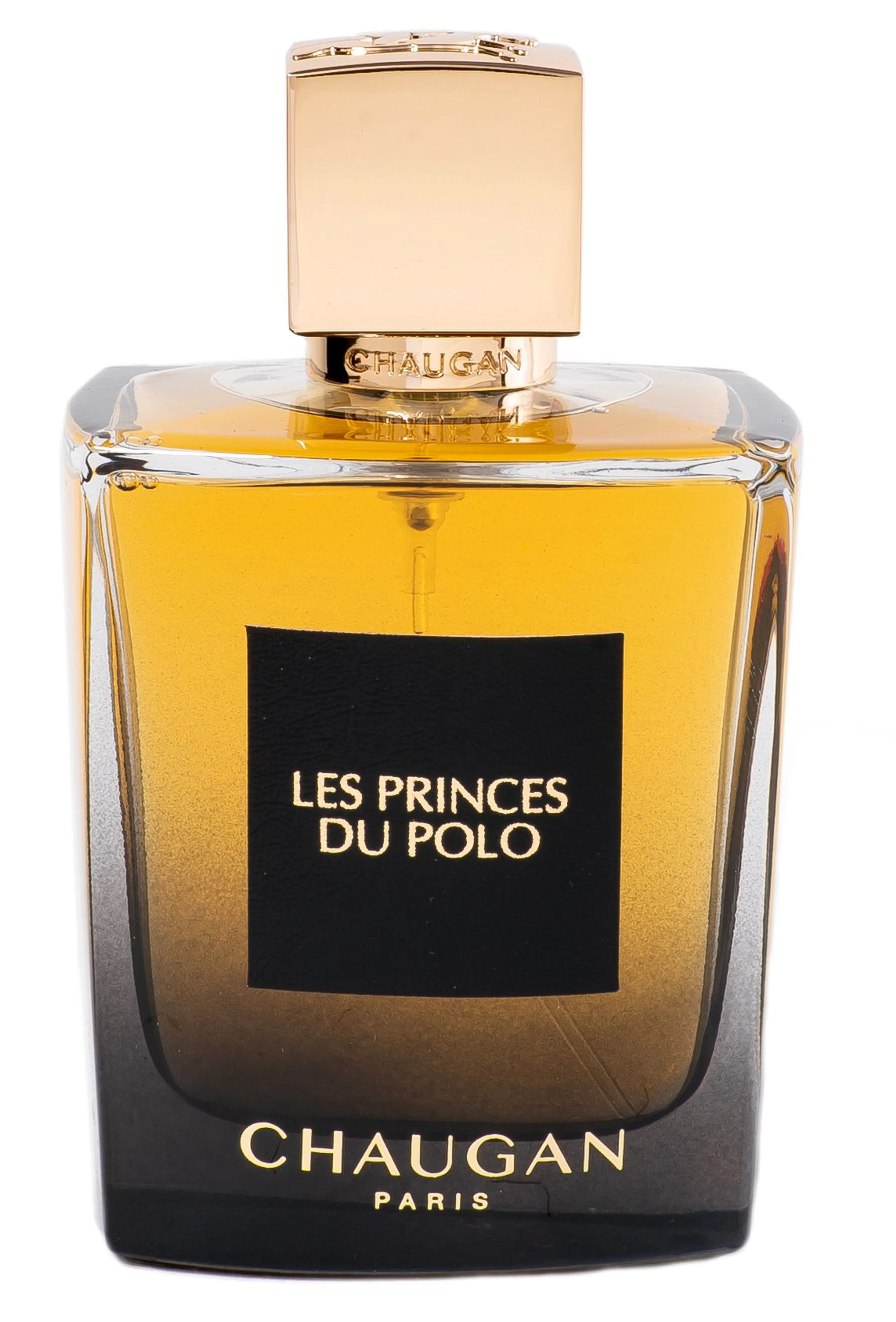 Les Princes Du Polo