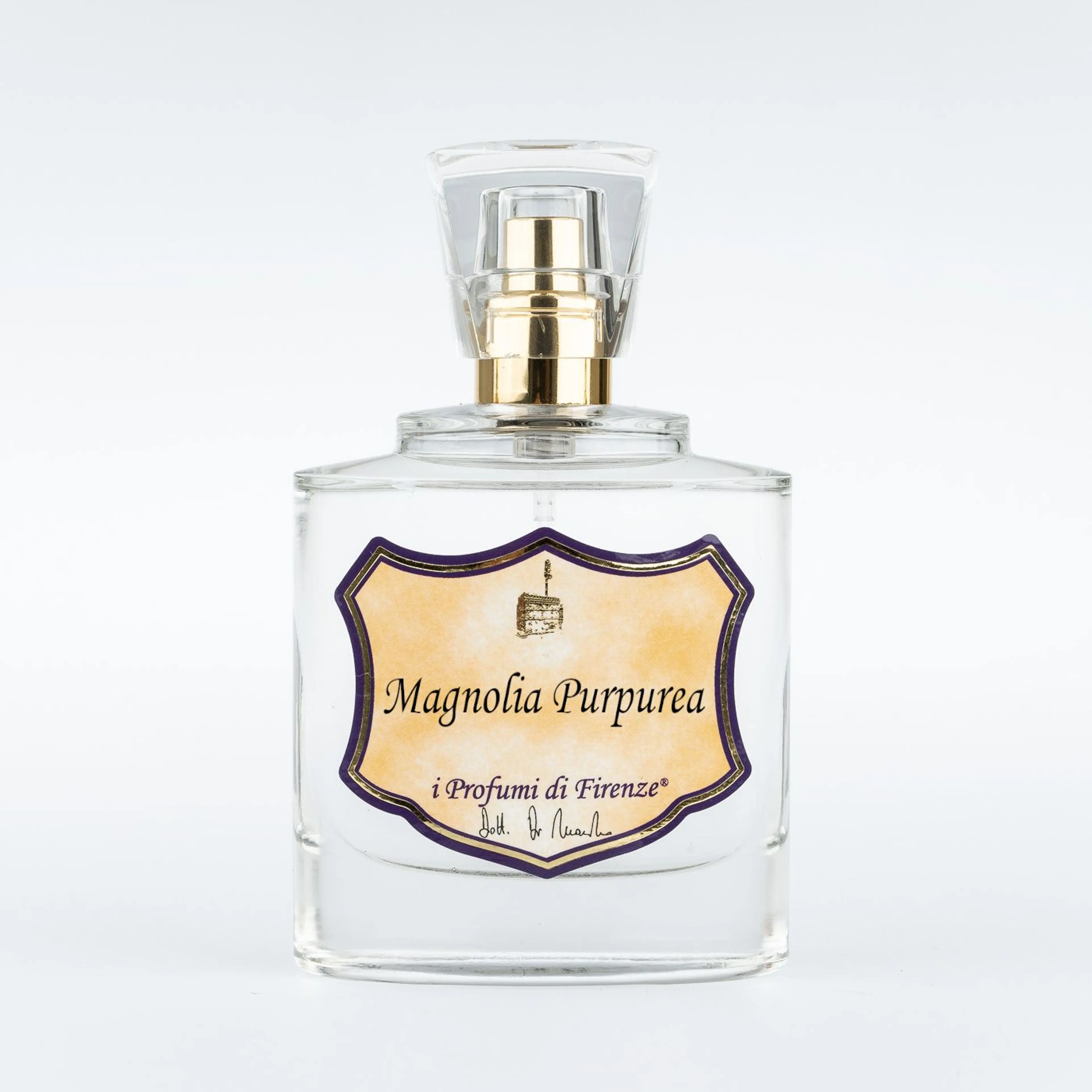 Magnolia Purpurea