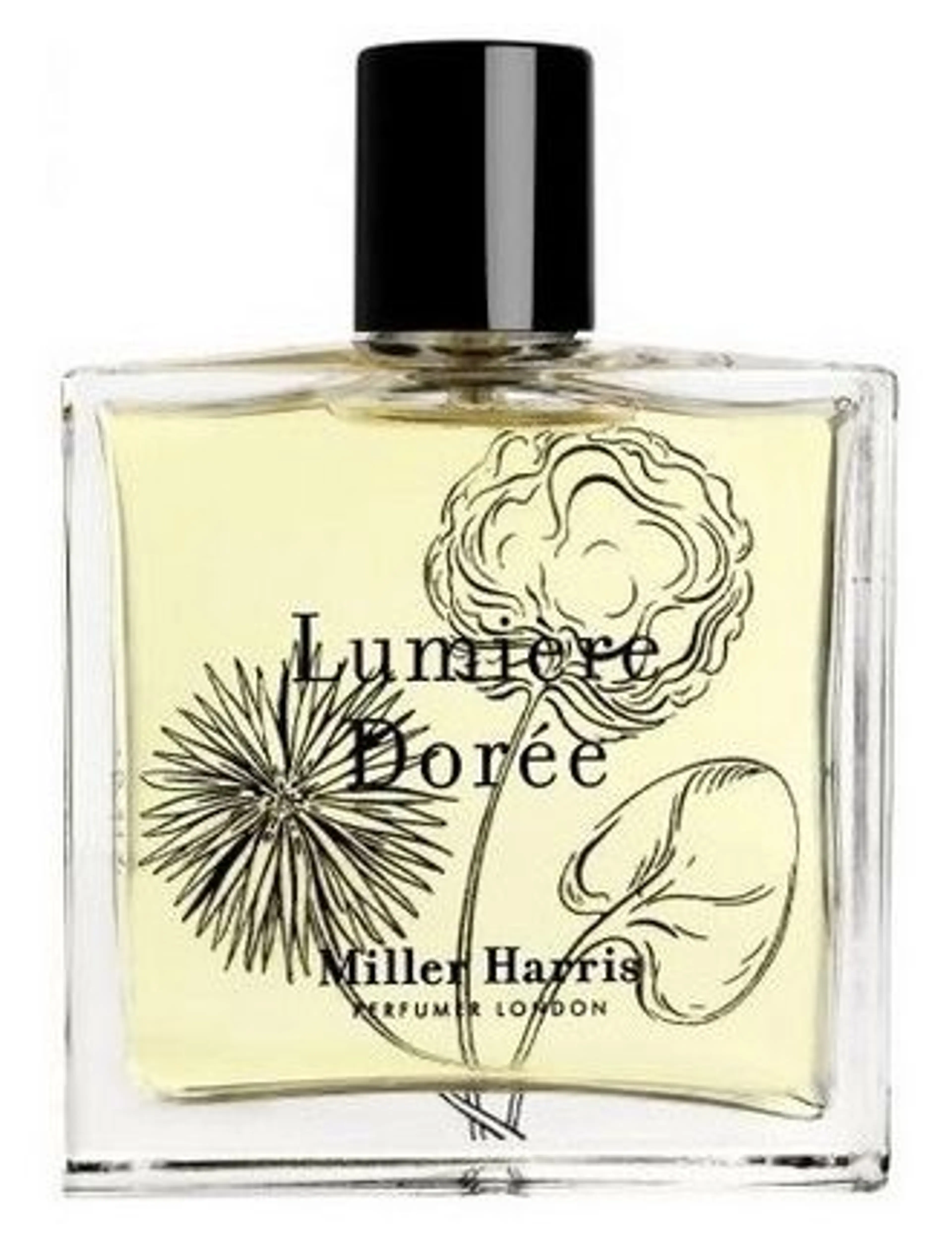 Lumière Dorée