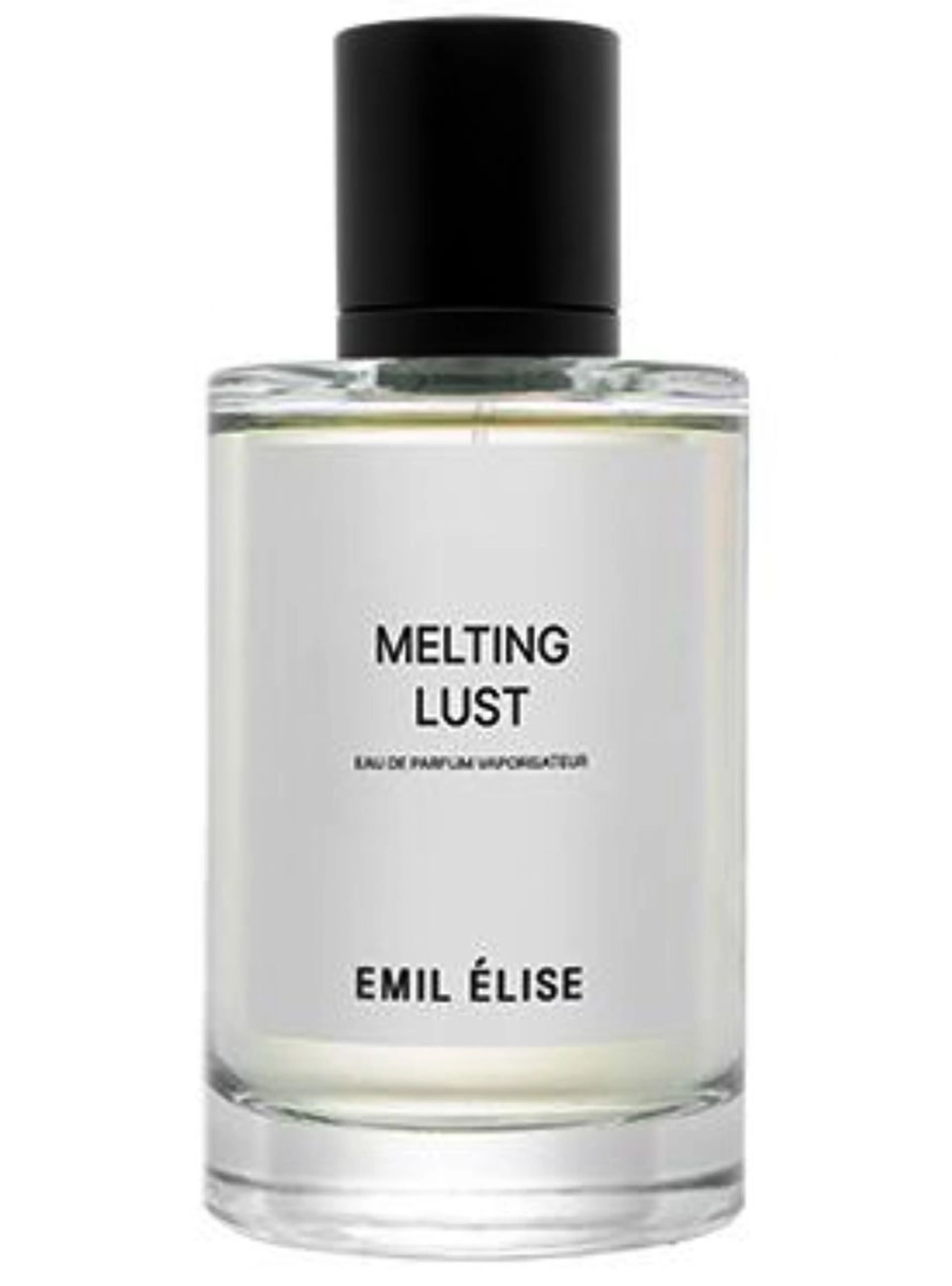 Melting Lust