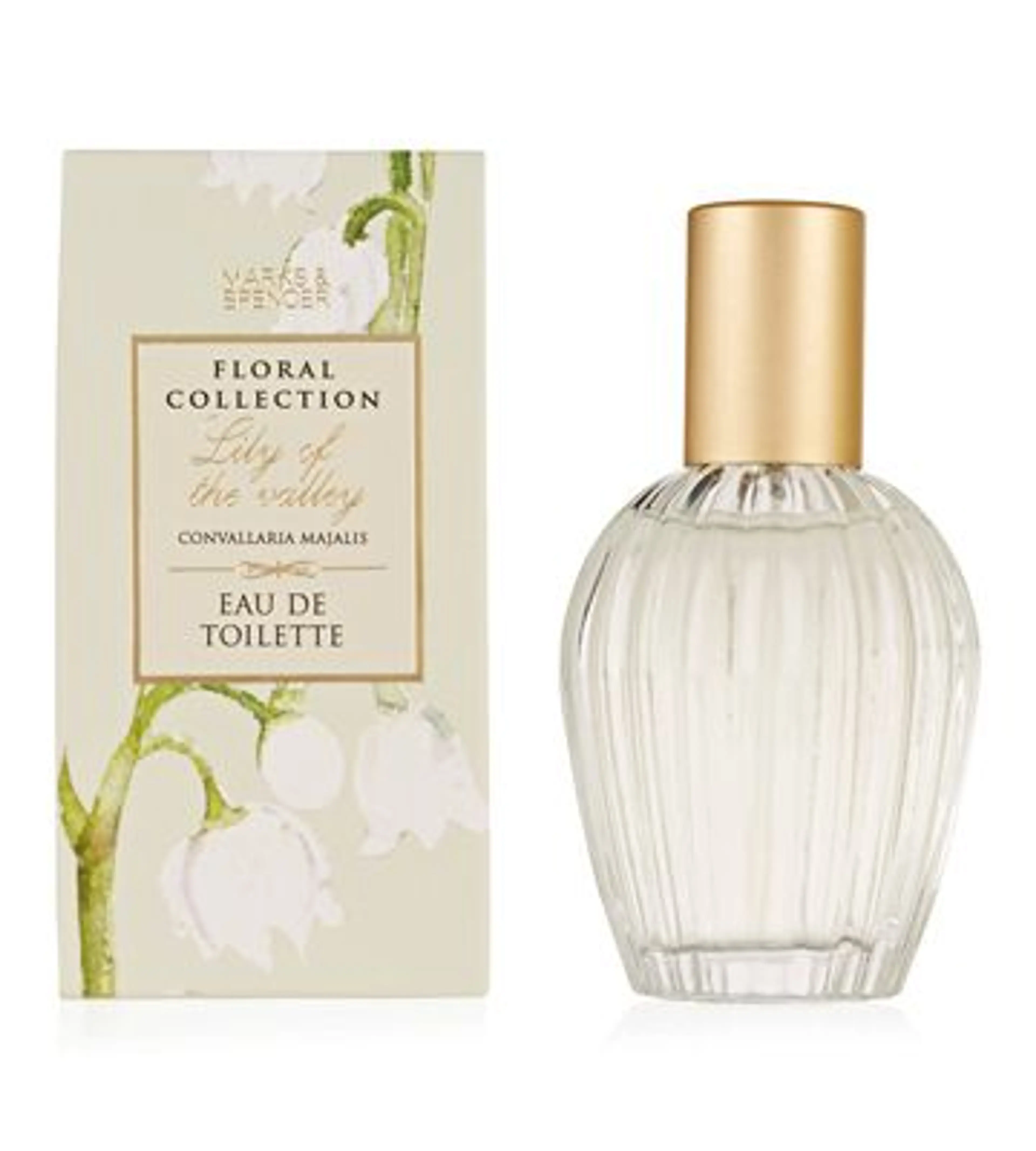 Lily of the Valley