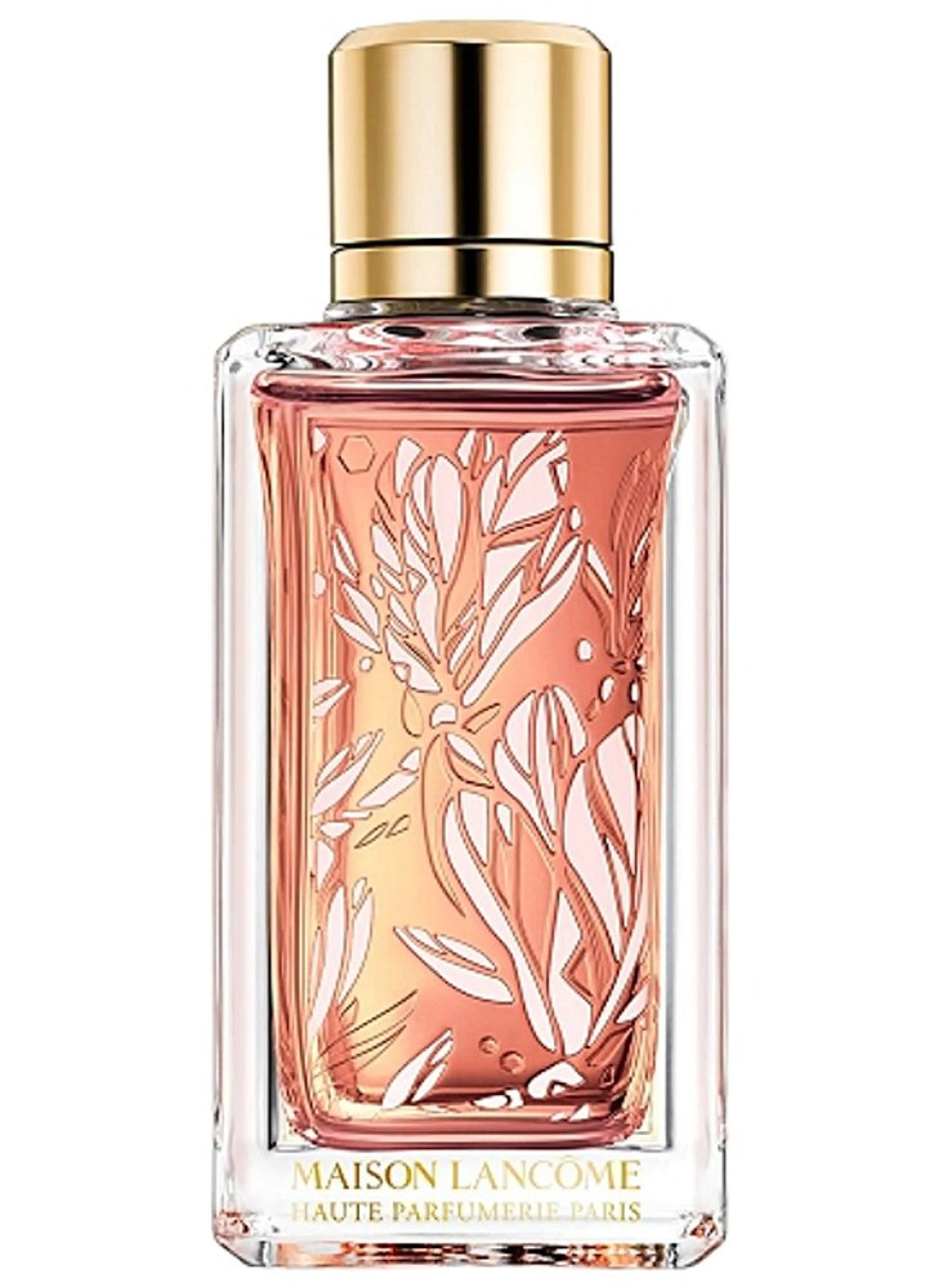 Magnolia Rosae