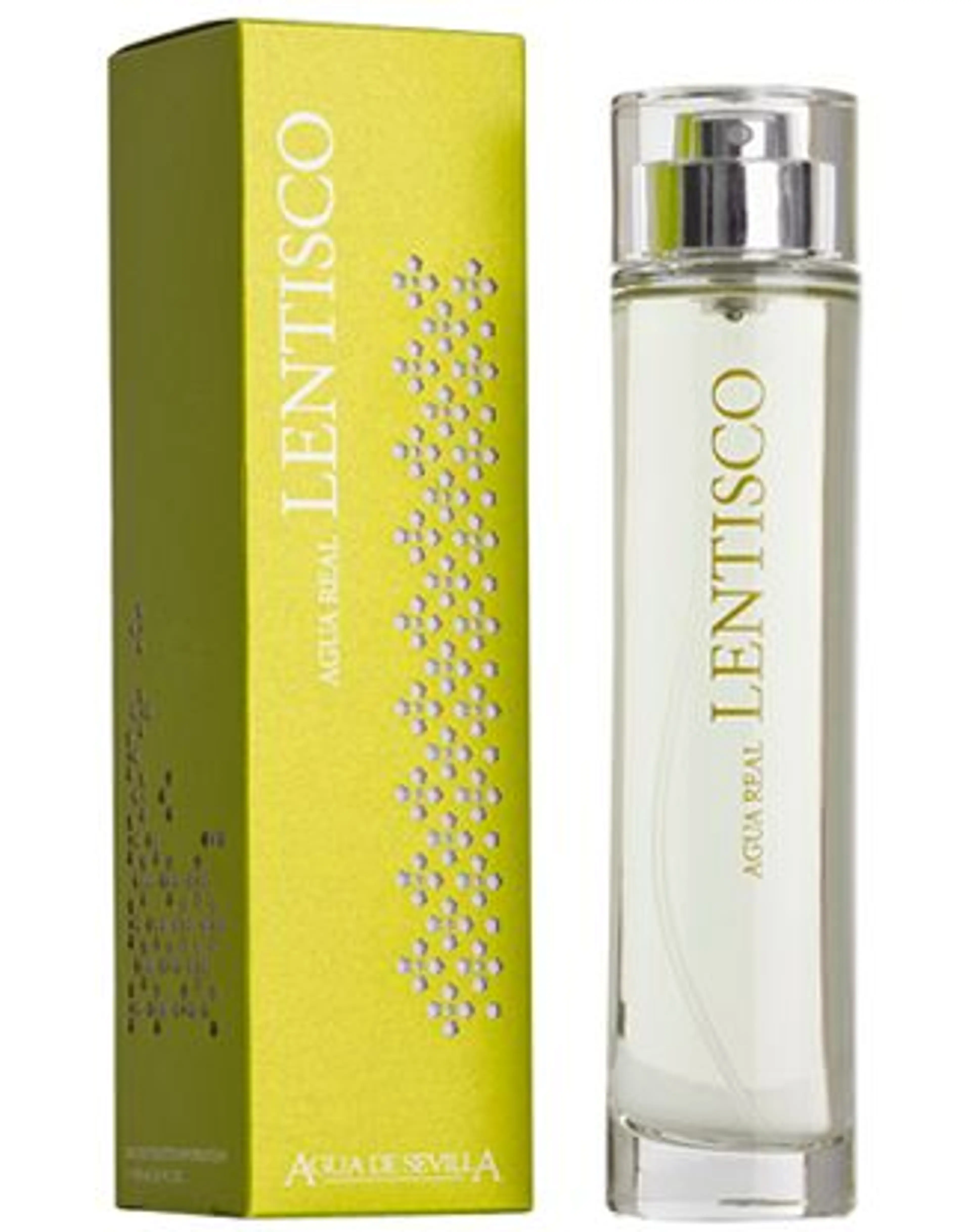 Lentisco