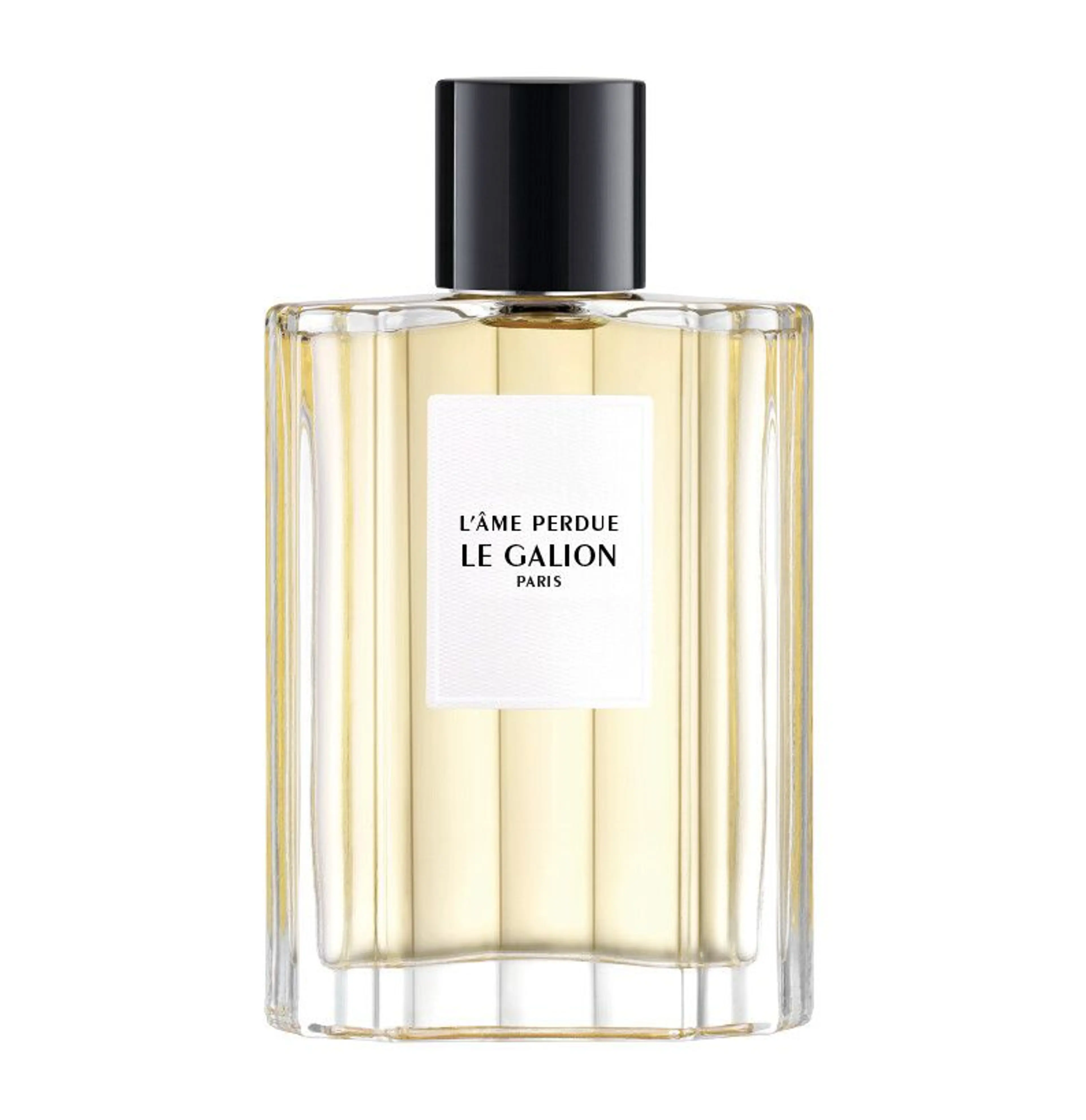 L'âme Perdue