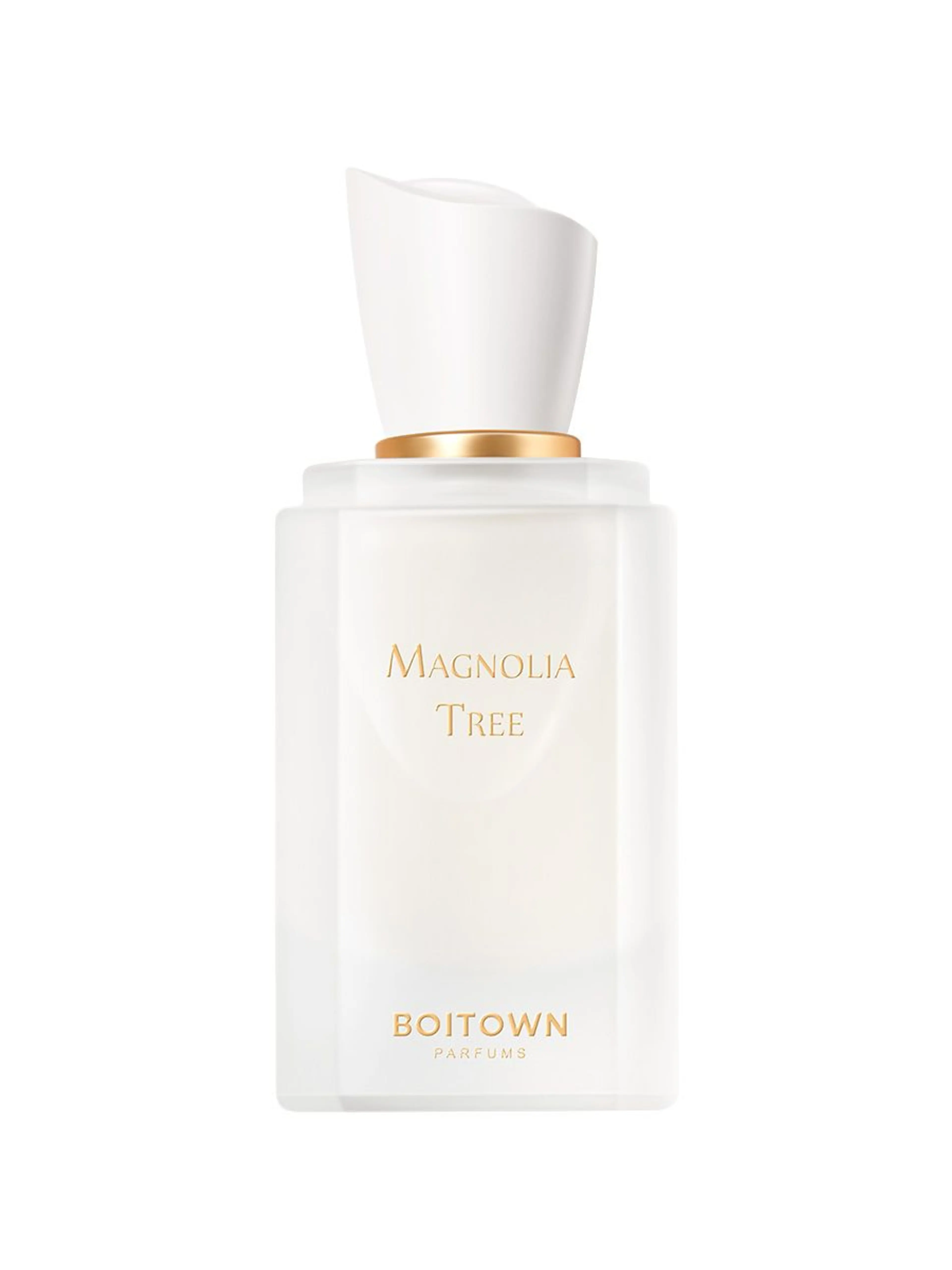 Magnolia Tree	一树玉兰