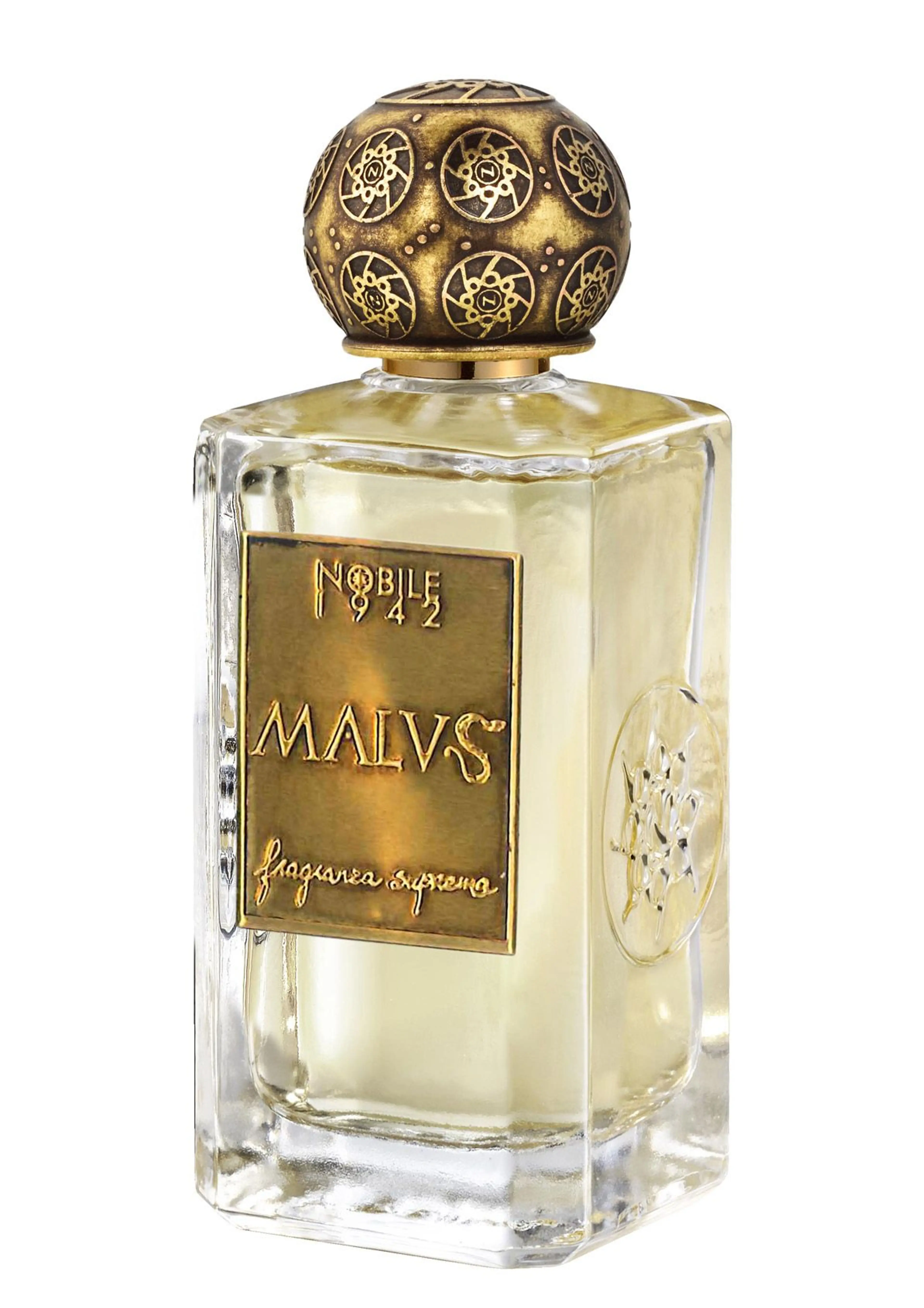 MALVS