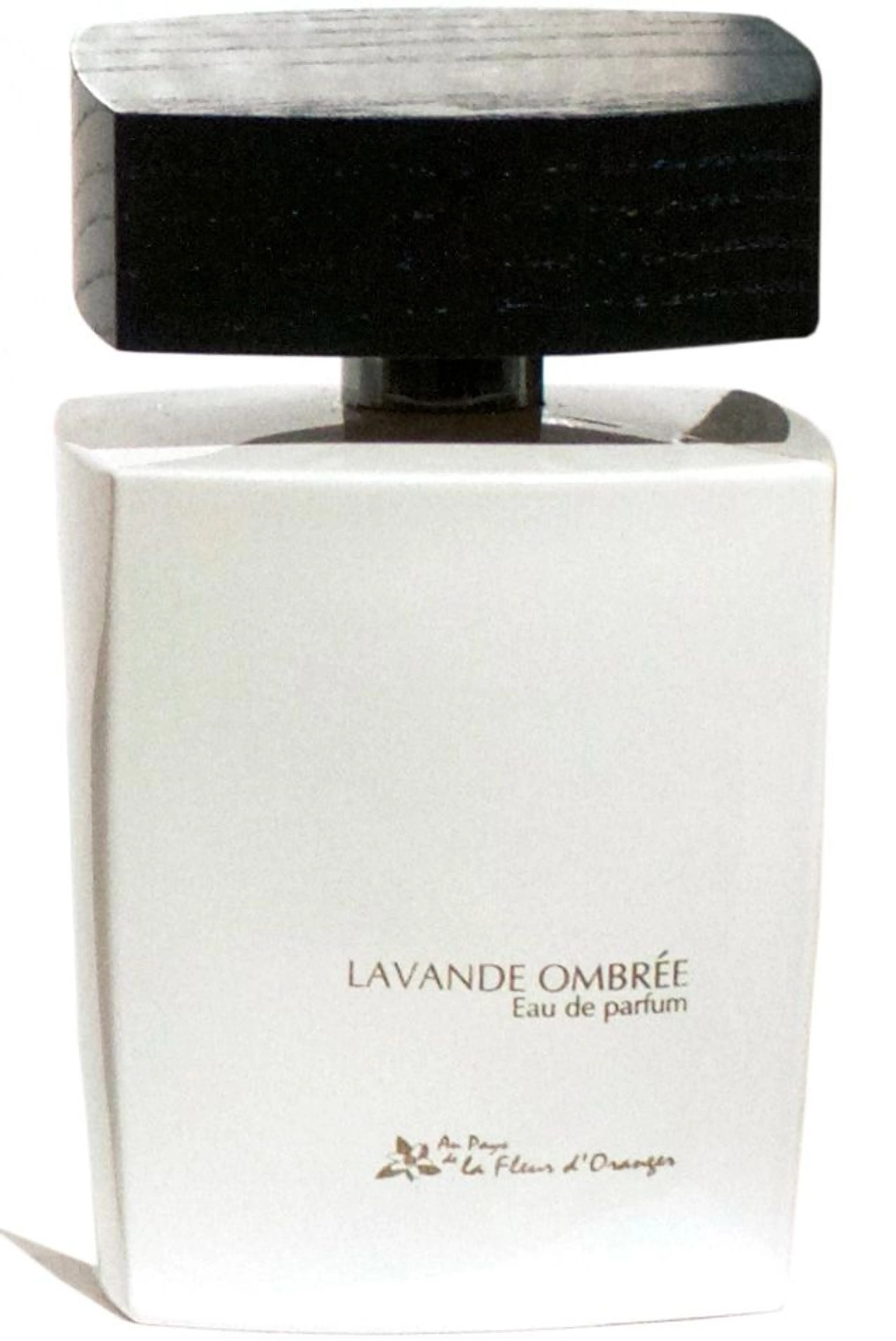 Lavande Ombree