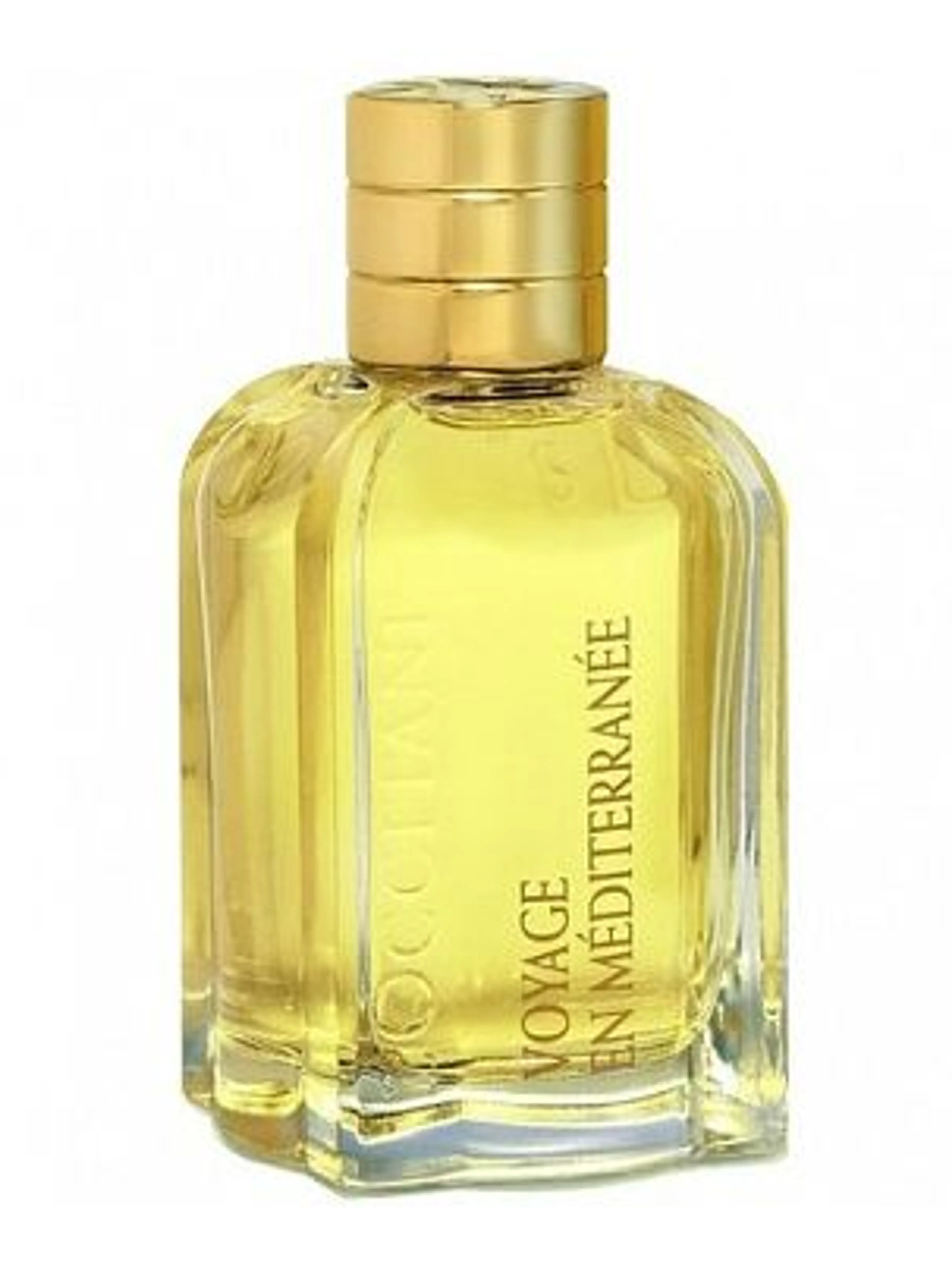 Mimosa de l'Esterel