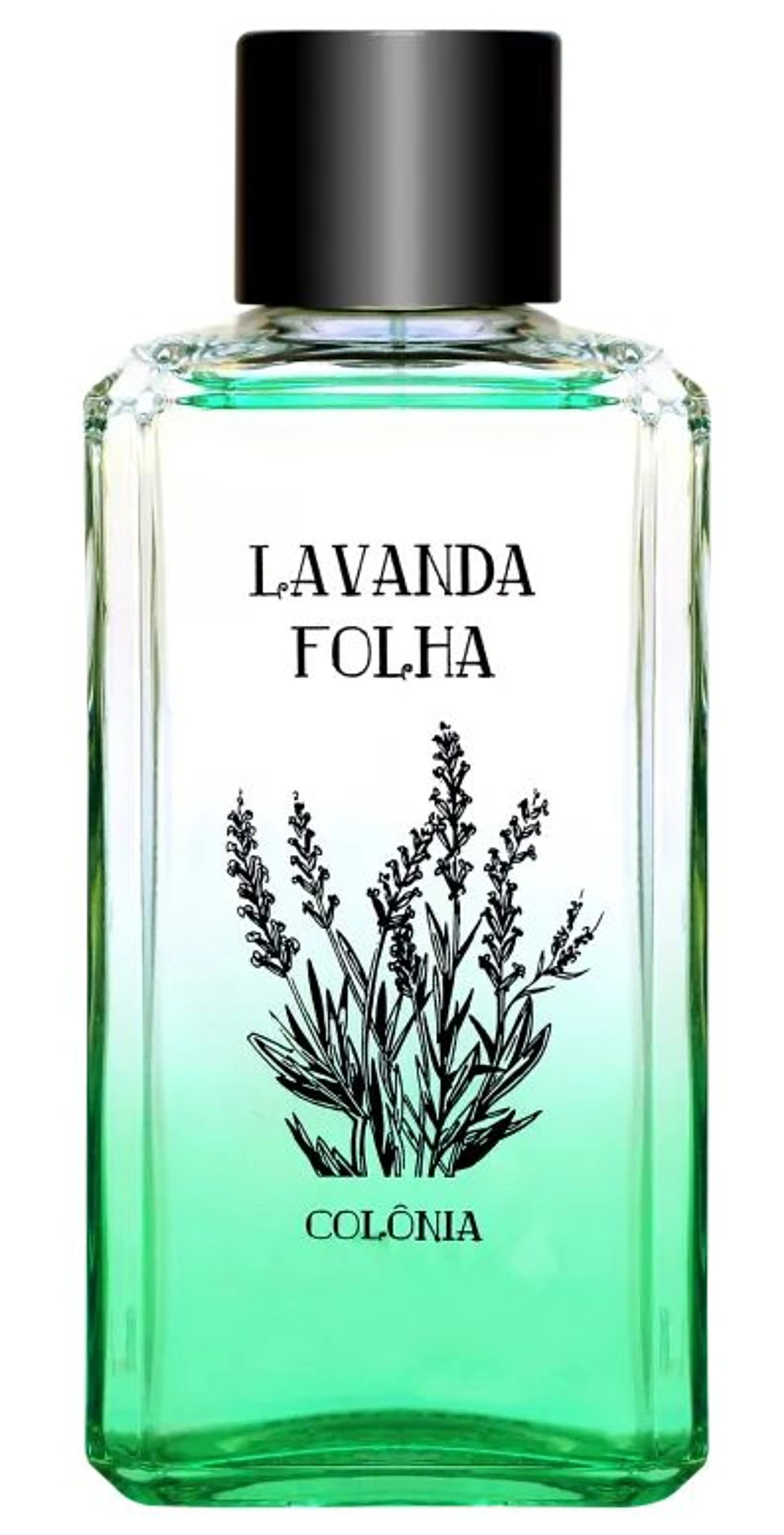 Lavanda Folha