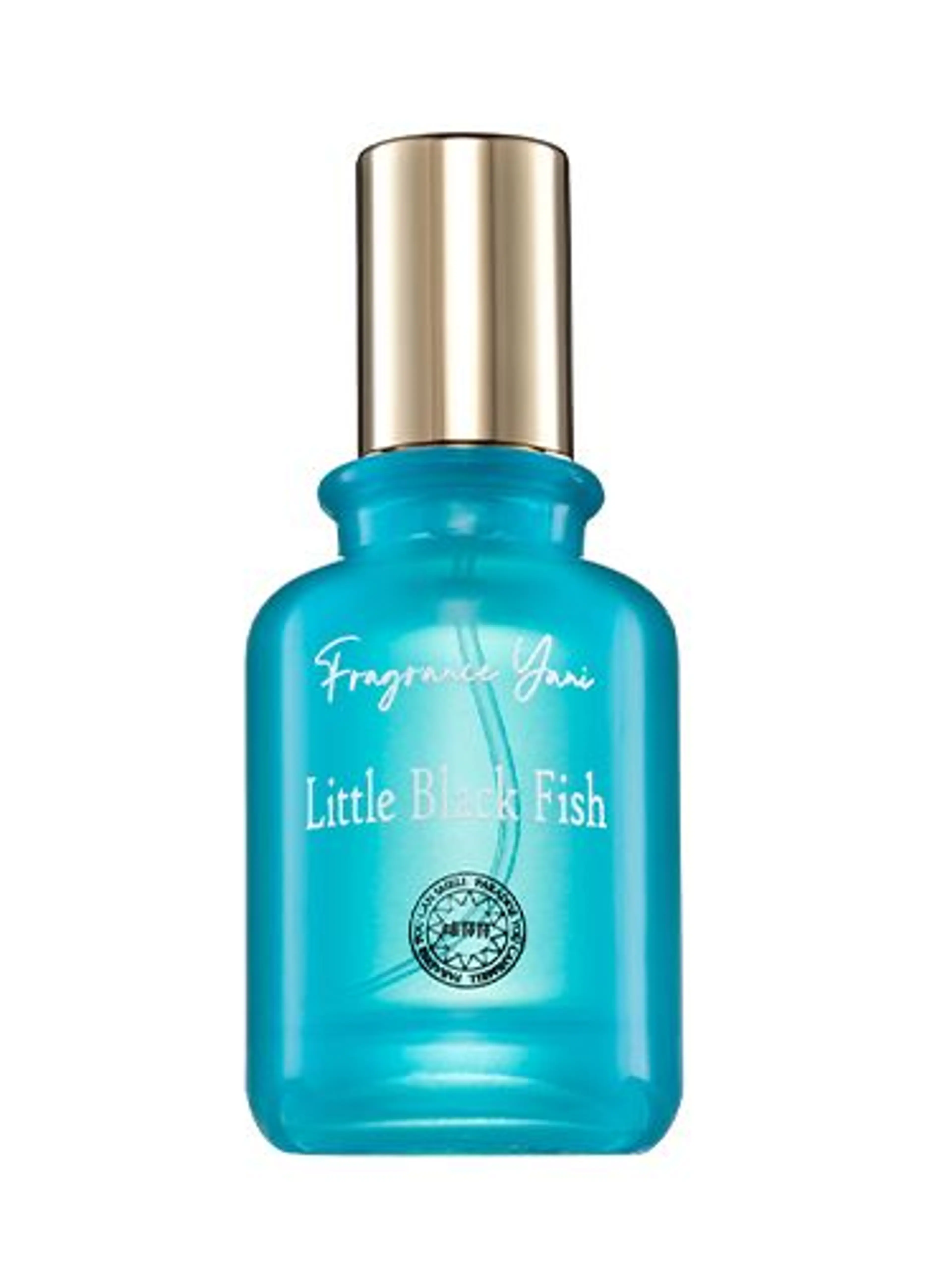 Little Black Fish