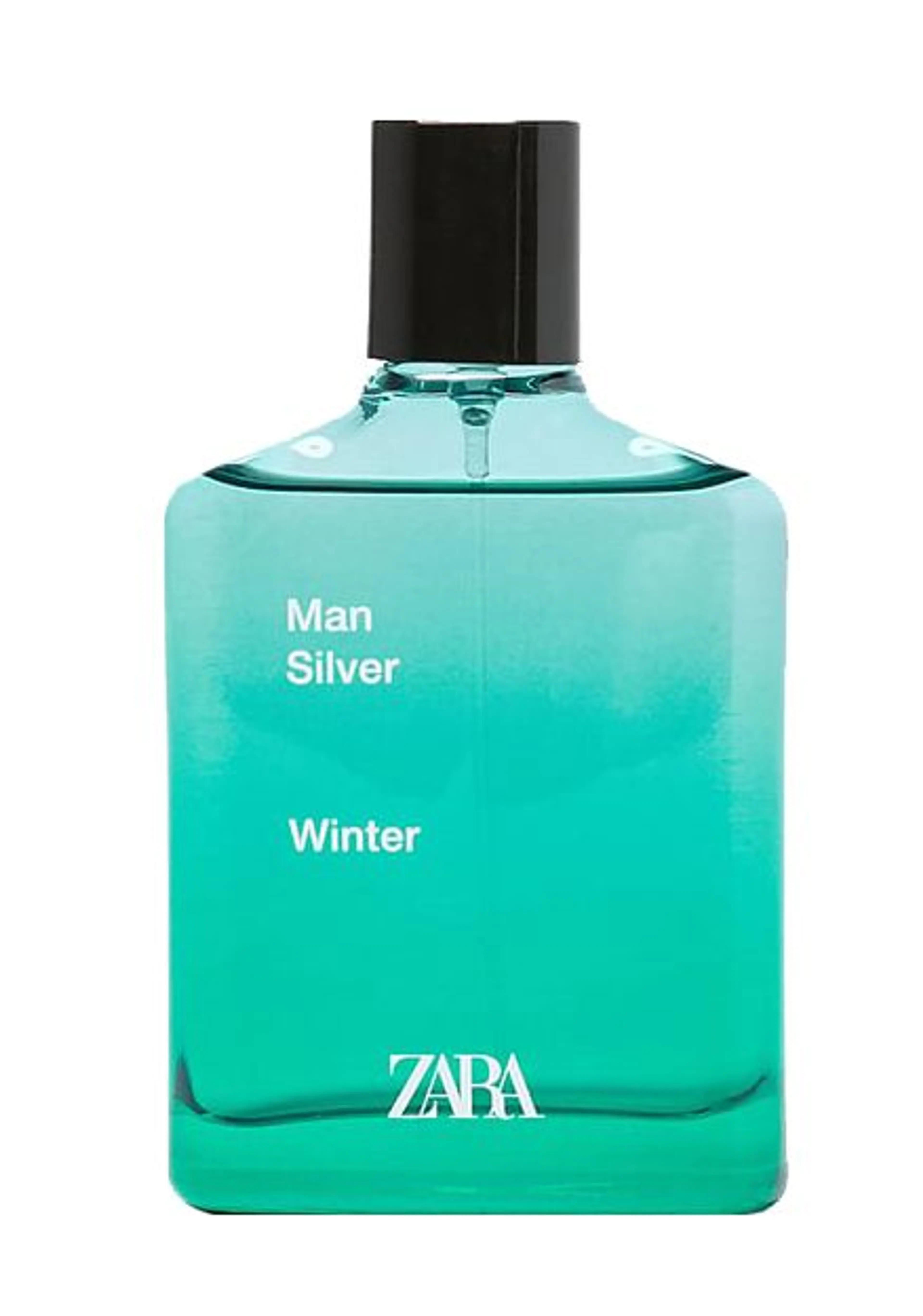 Man Silver Winter