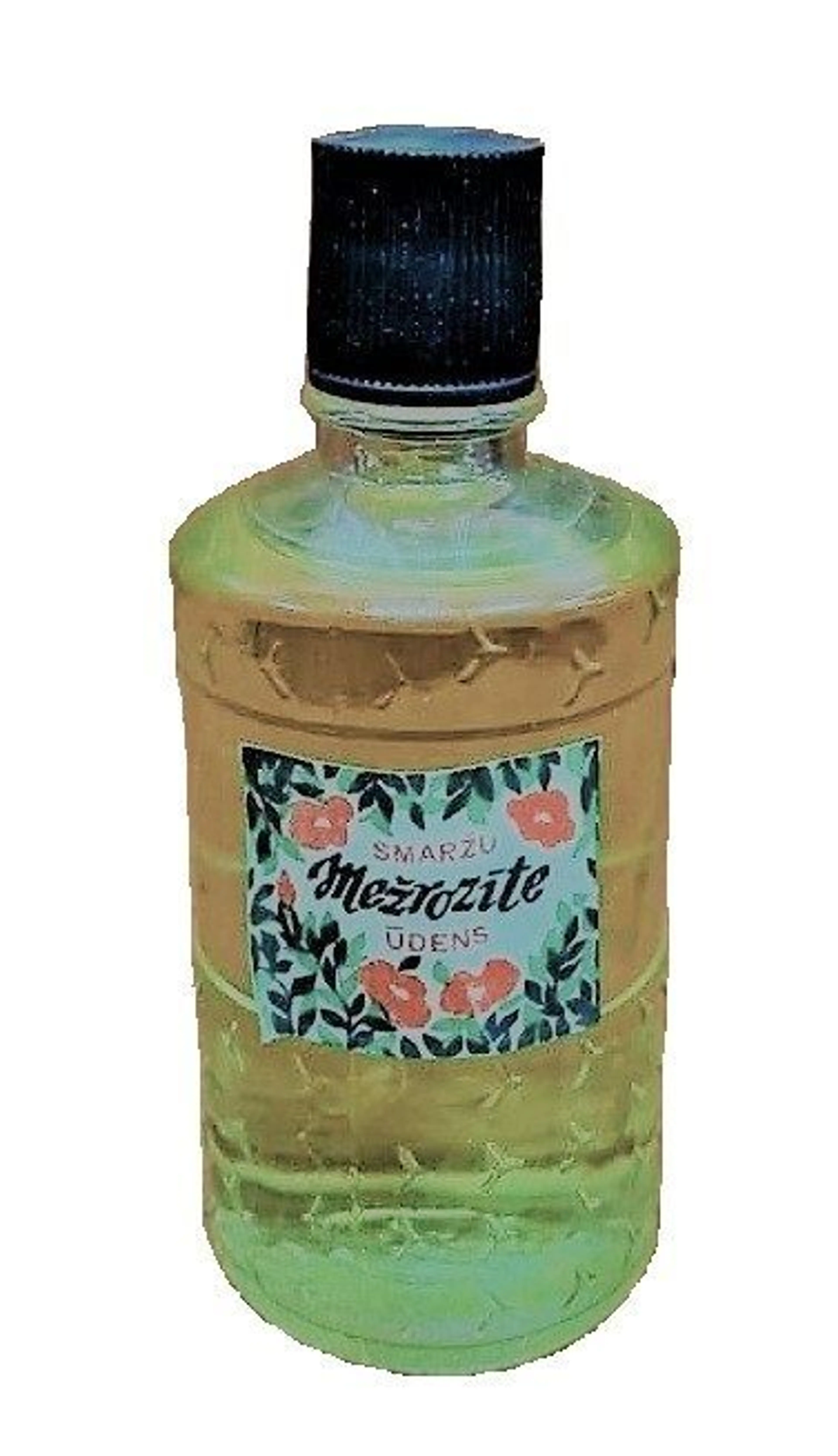 Mežrozīte (Шиповник)