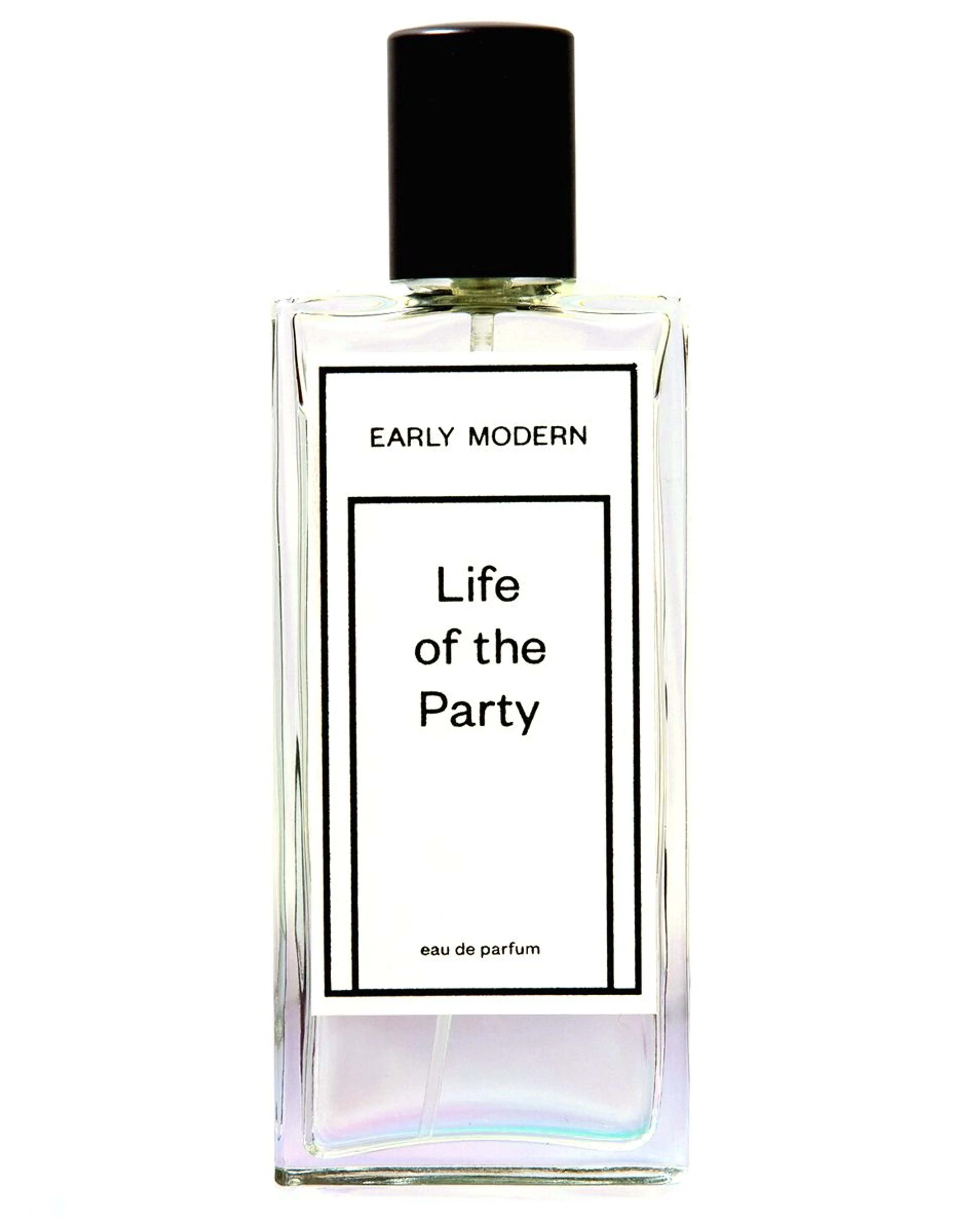 Life Of The Party