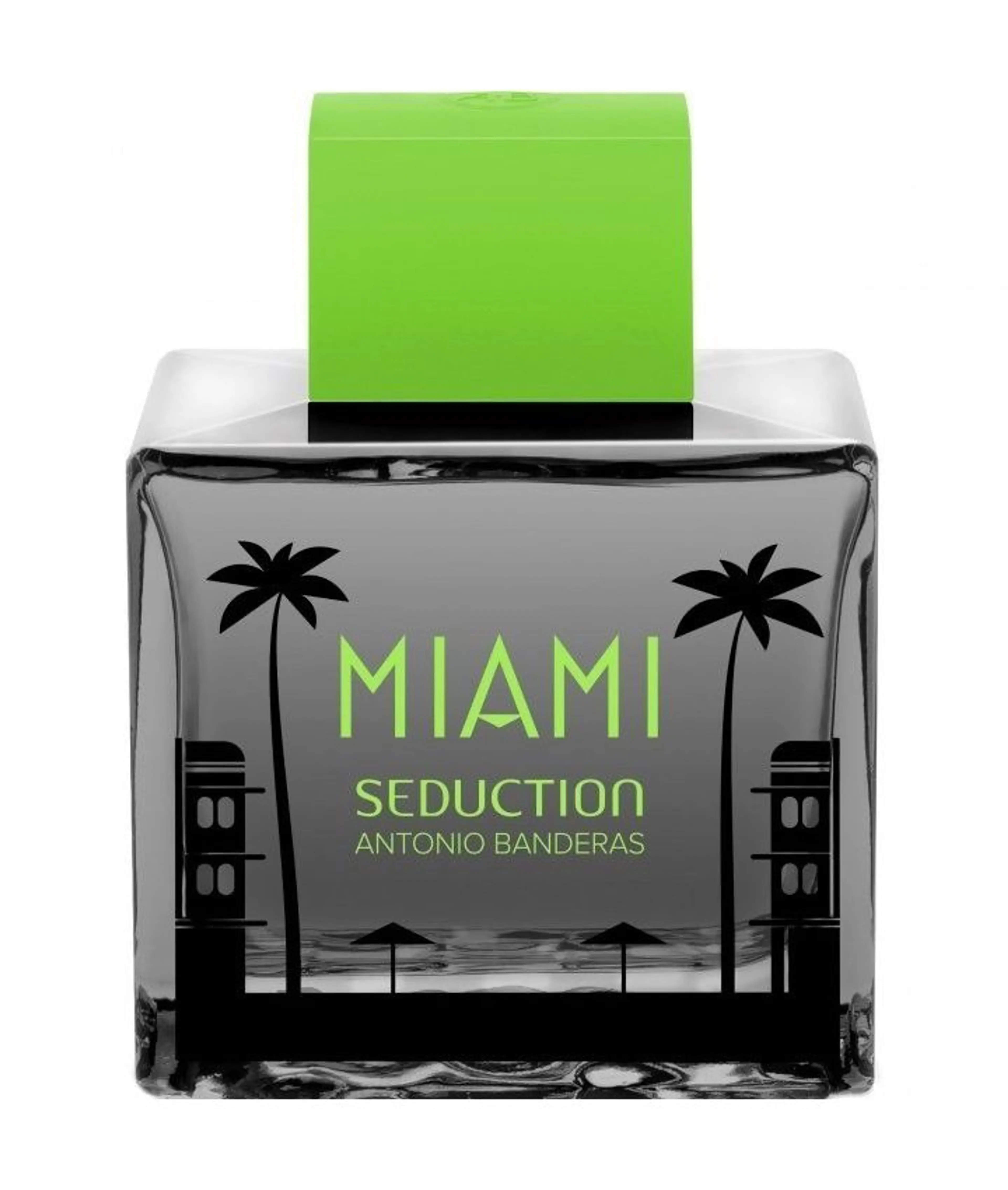Miami Seduction In Black