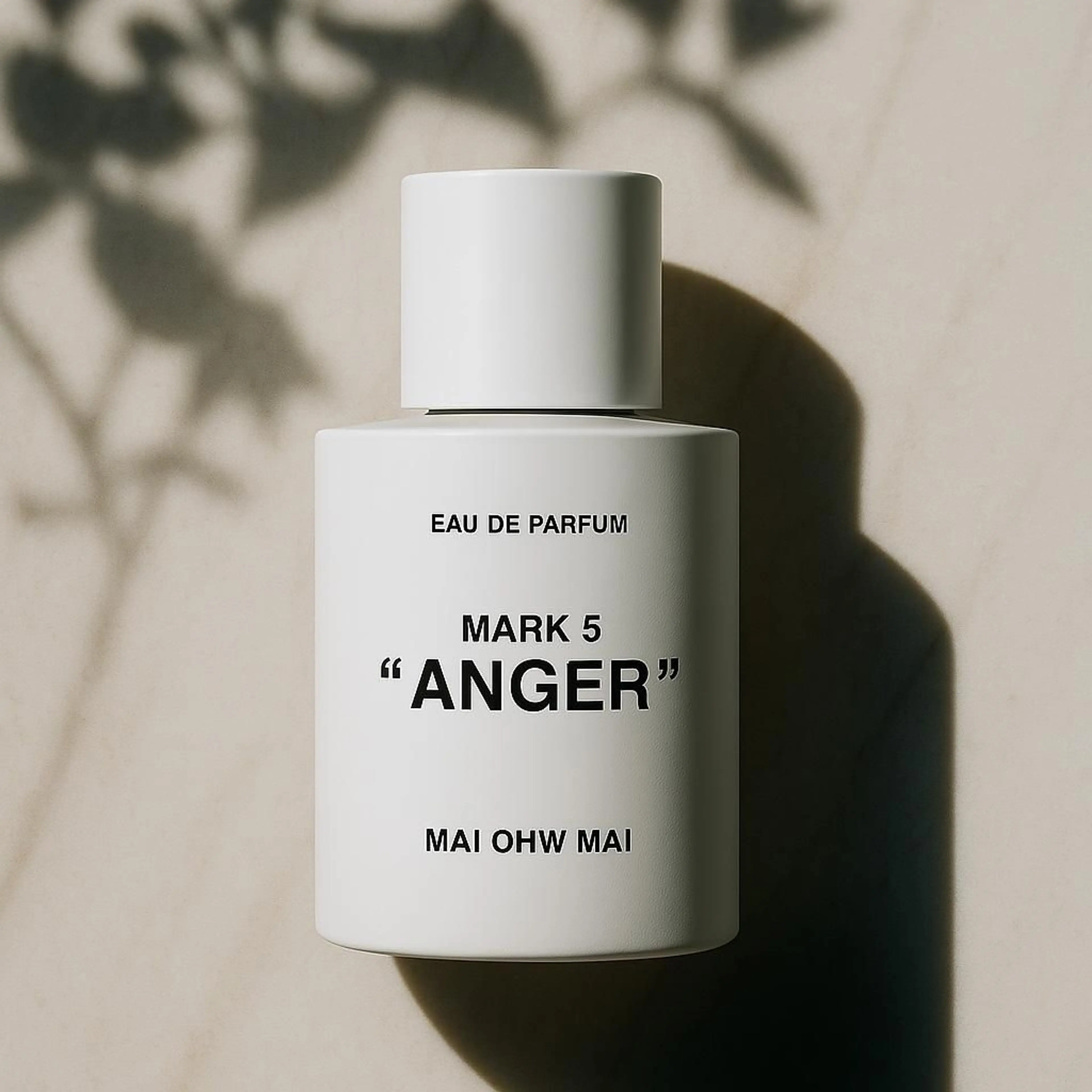 MARK 5: ANGER