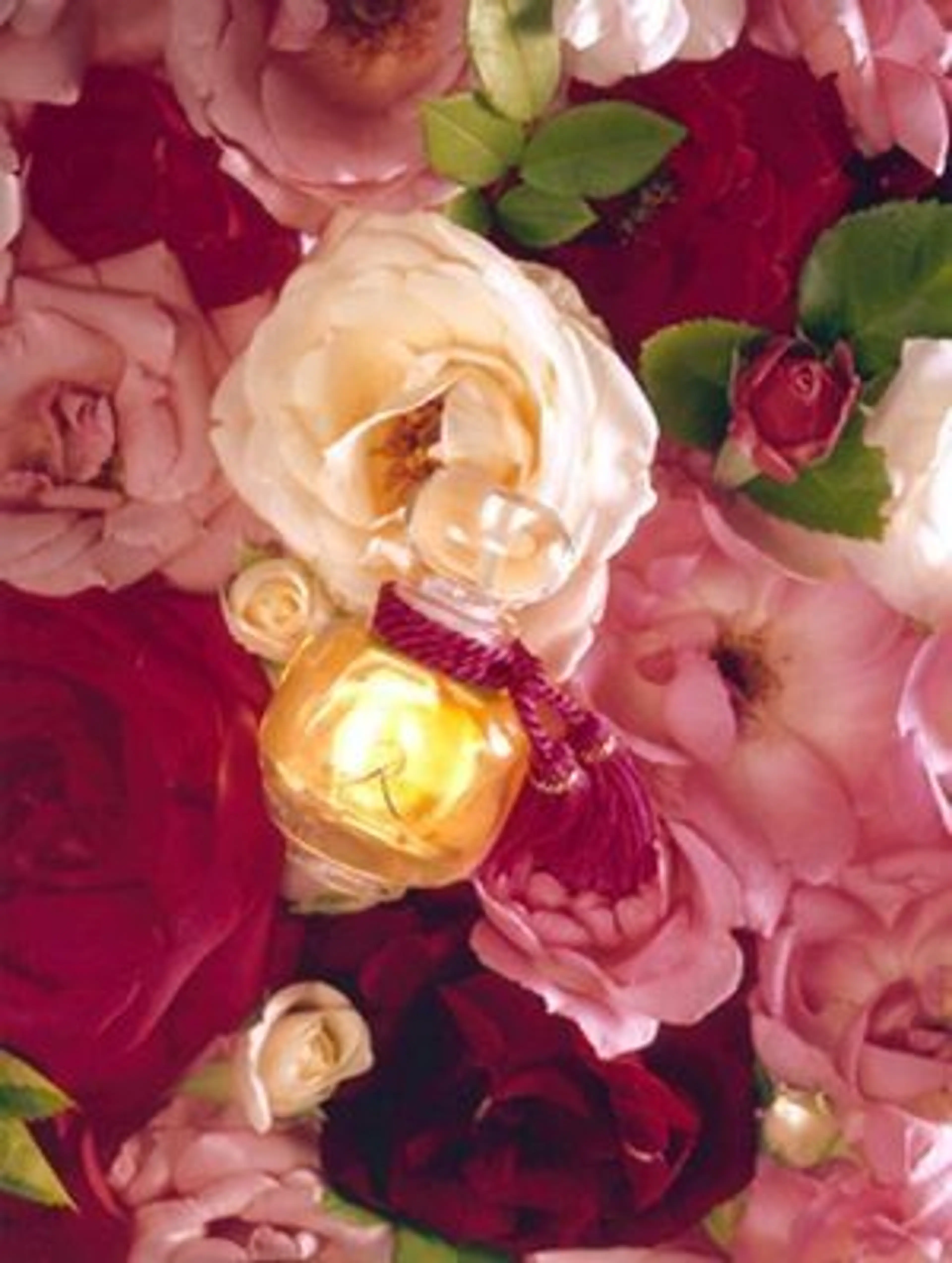 La Rose Legere