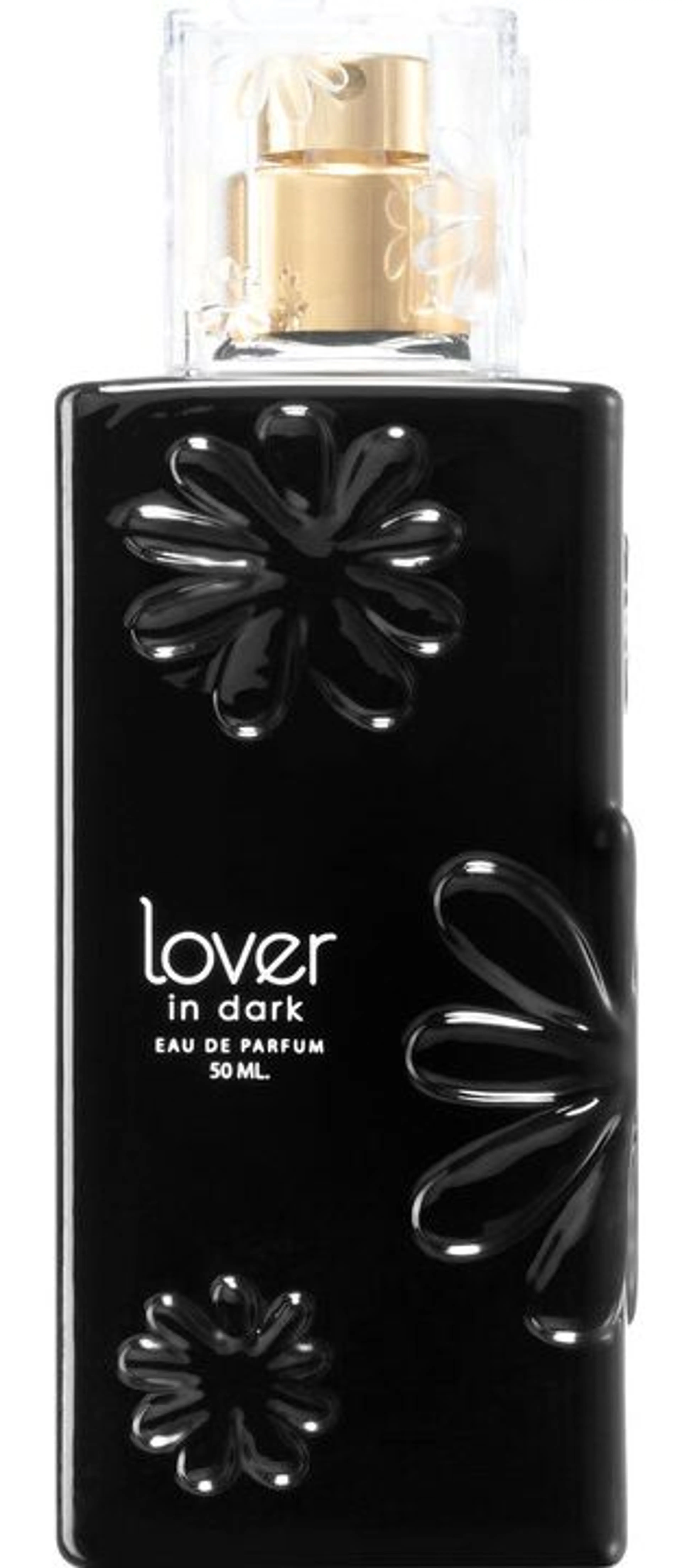 Lover in Dark