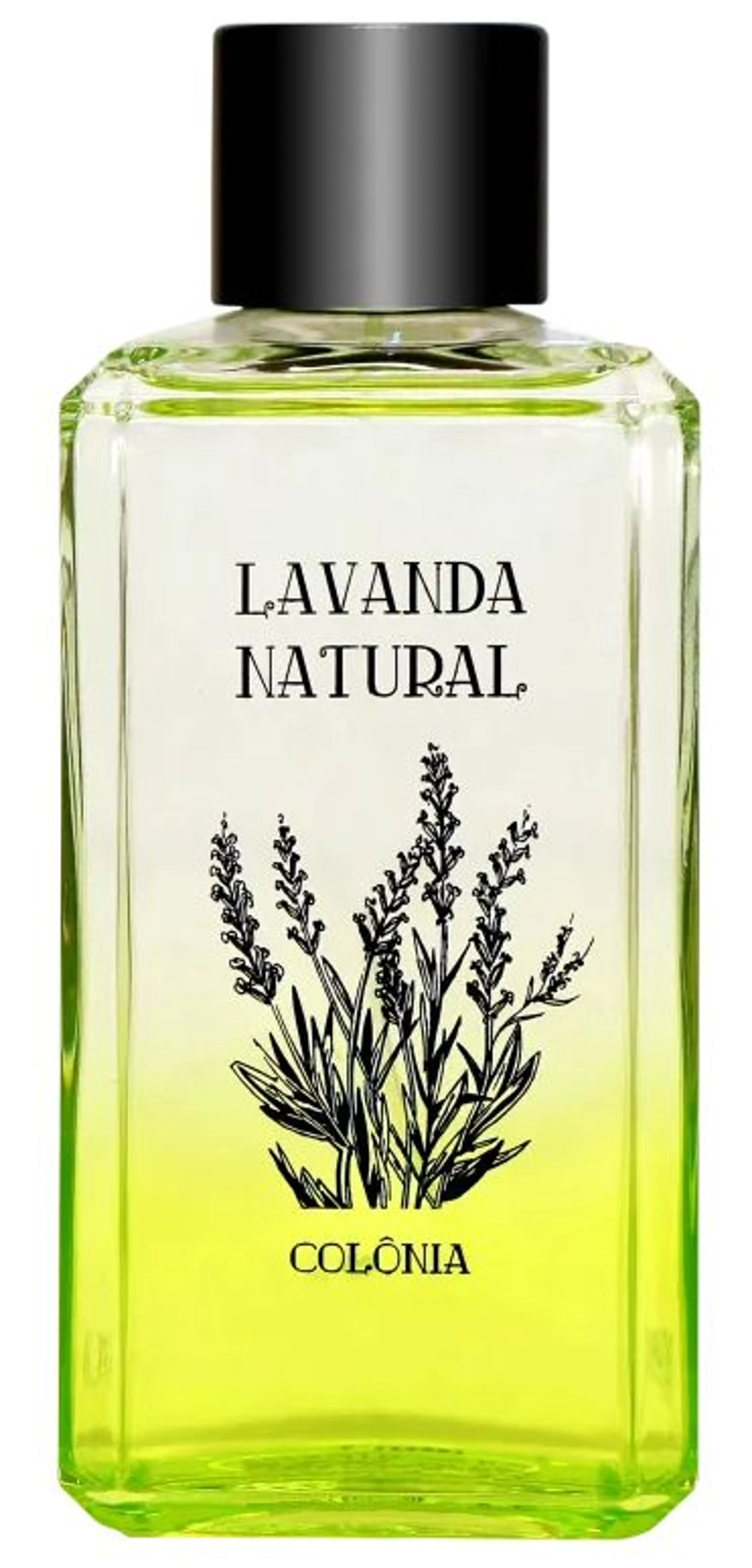 Lavanda Natural