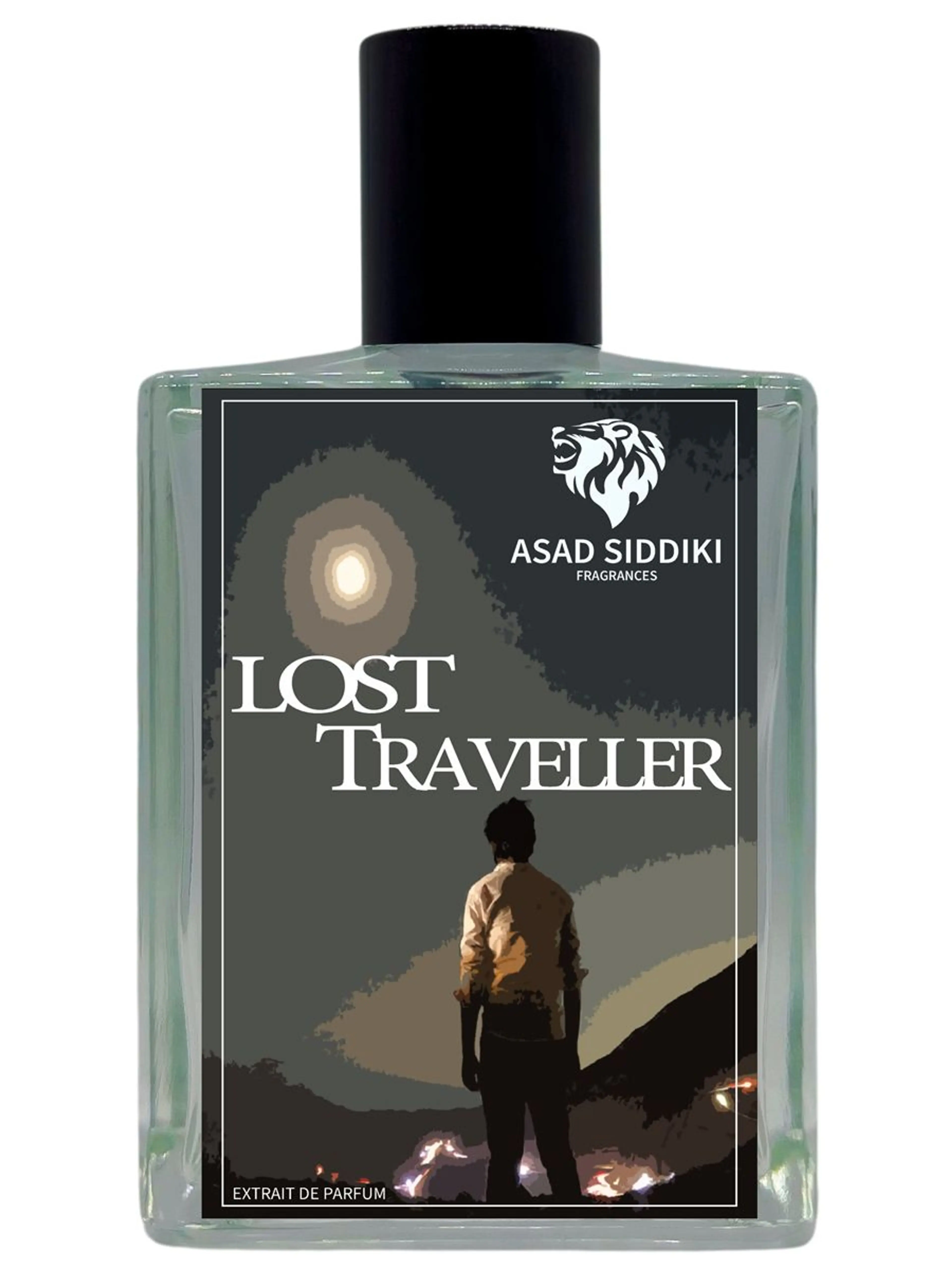 Lost Traveller