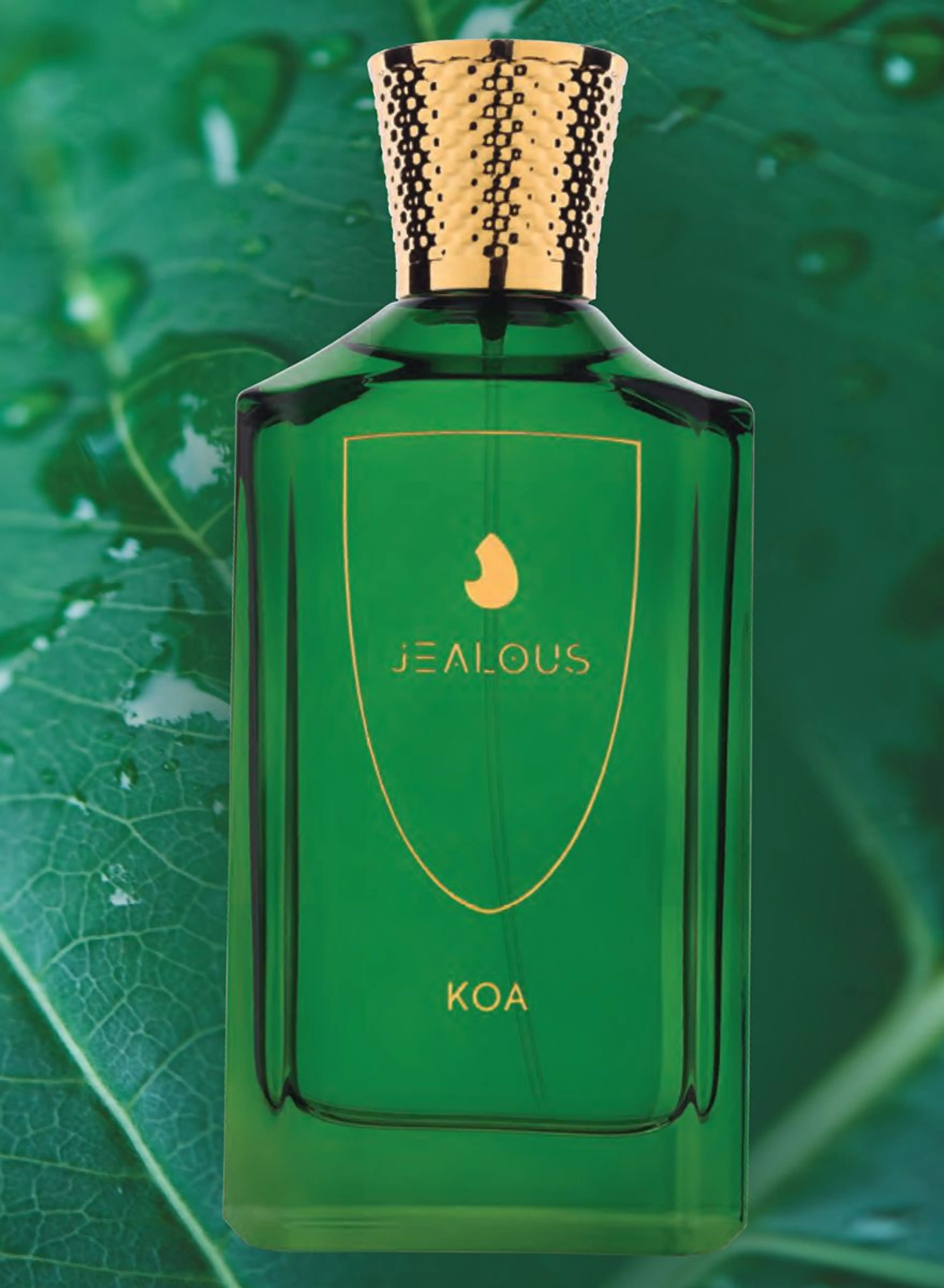 Koa