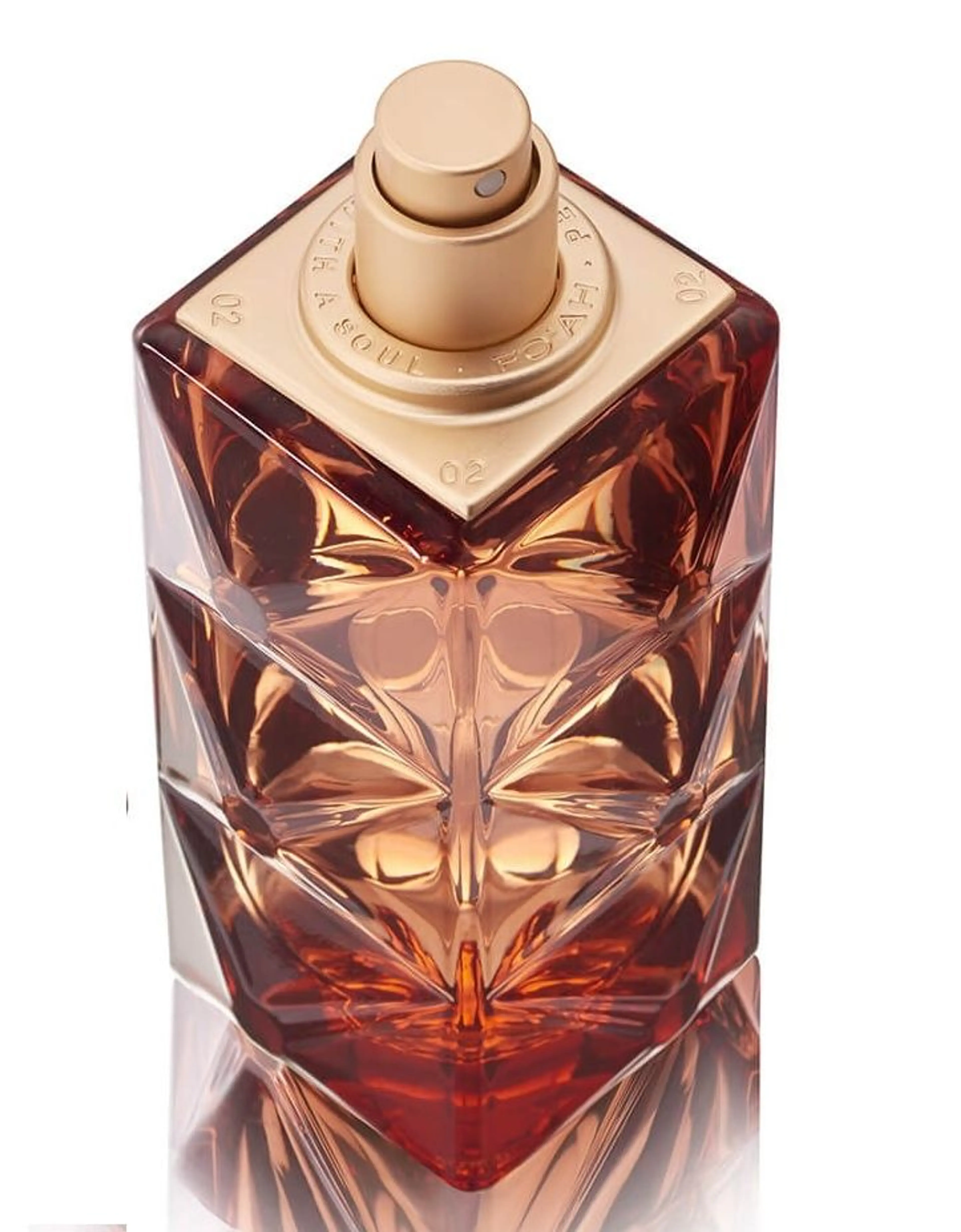 Mémoires d'une Palmeraie 02