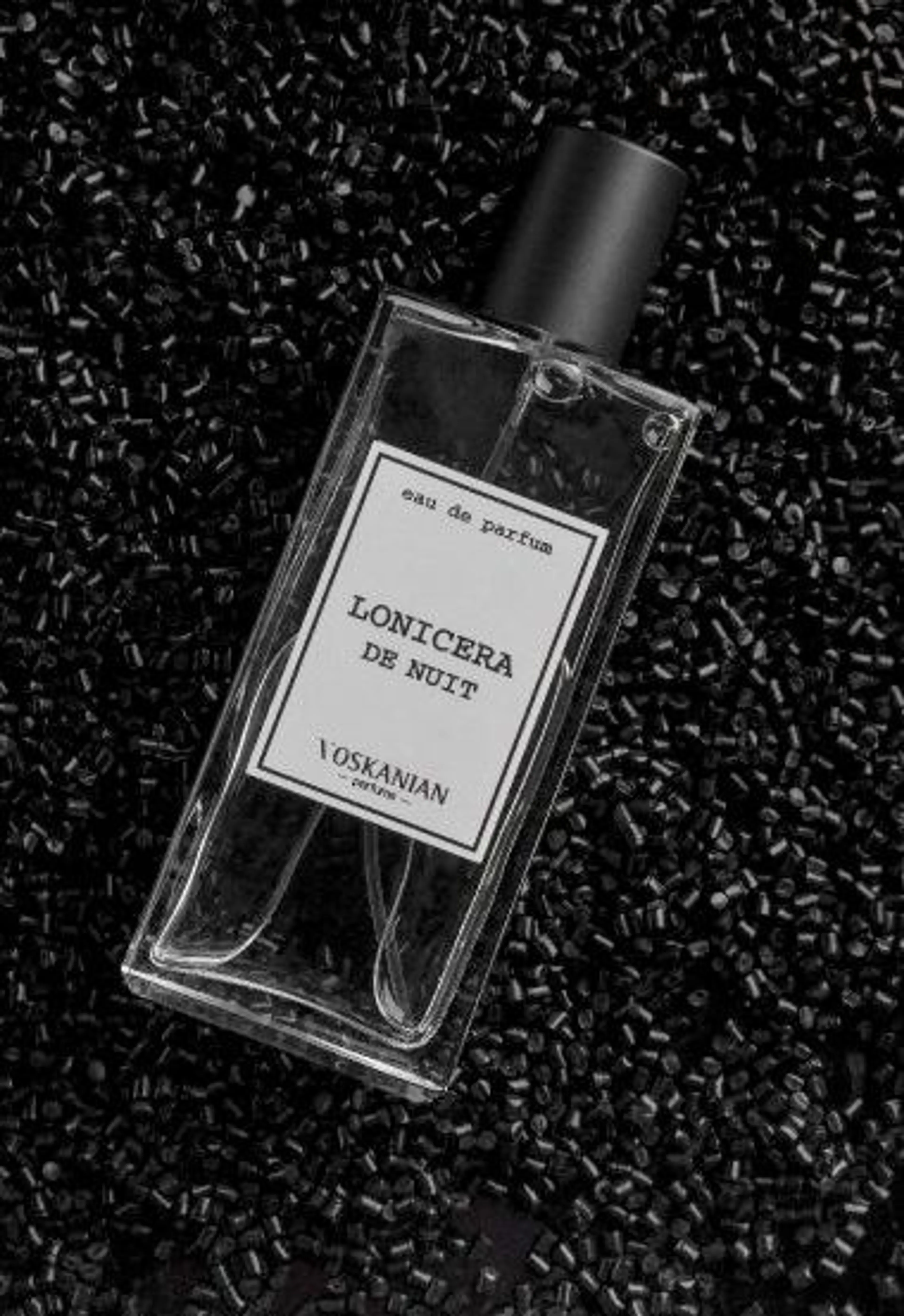 Lonicera de Nuit