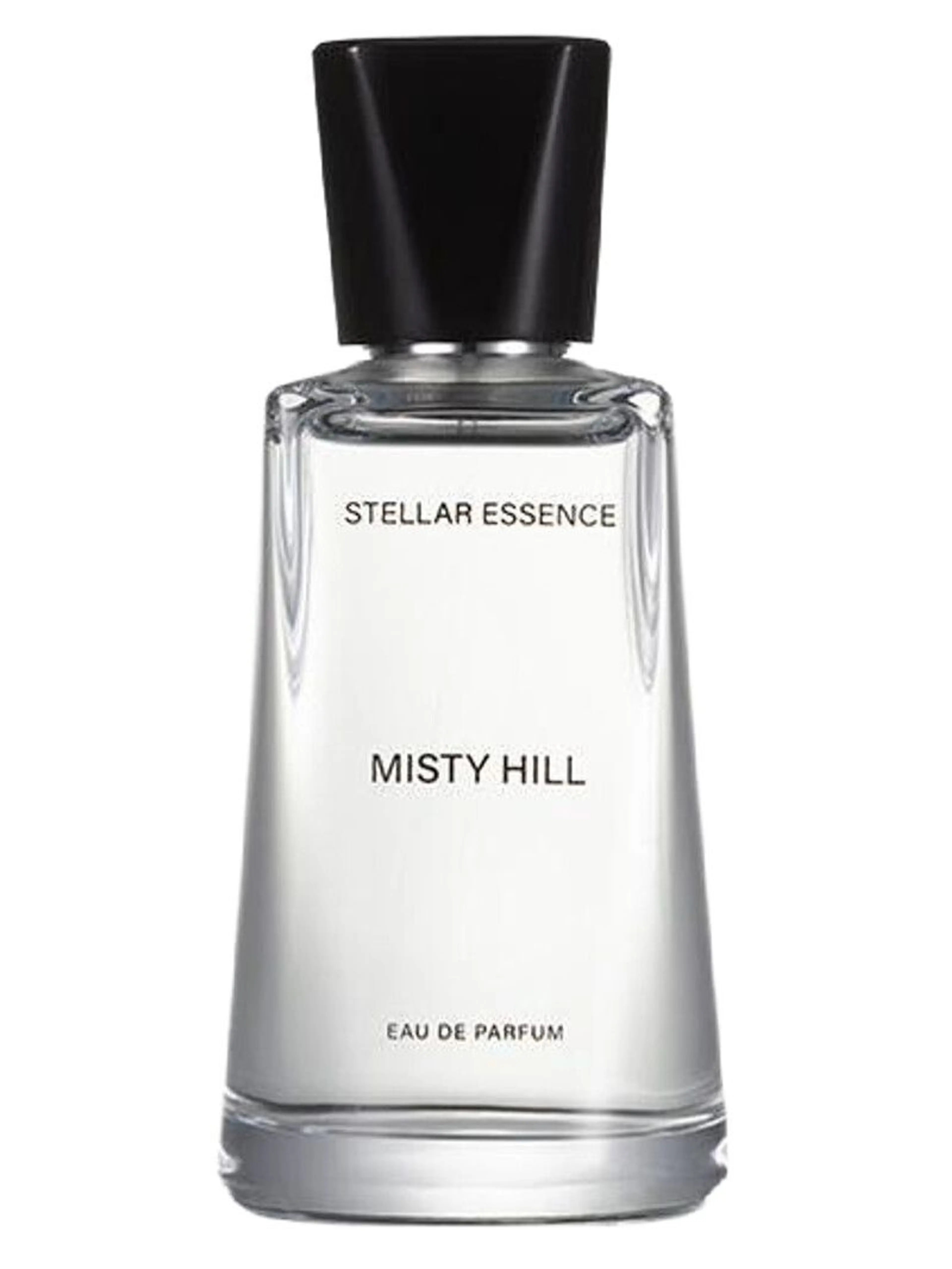 Misty Hill