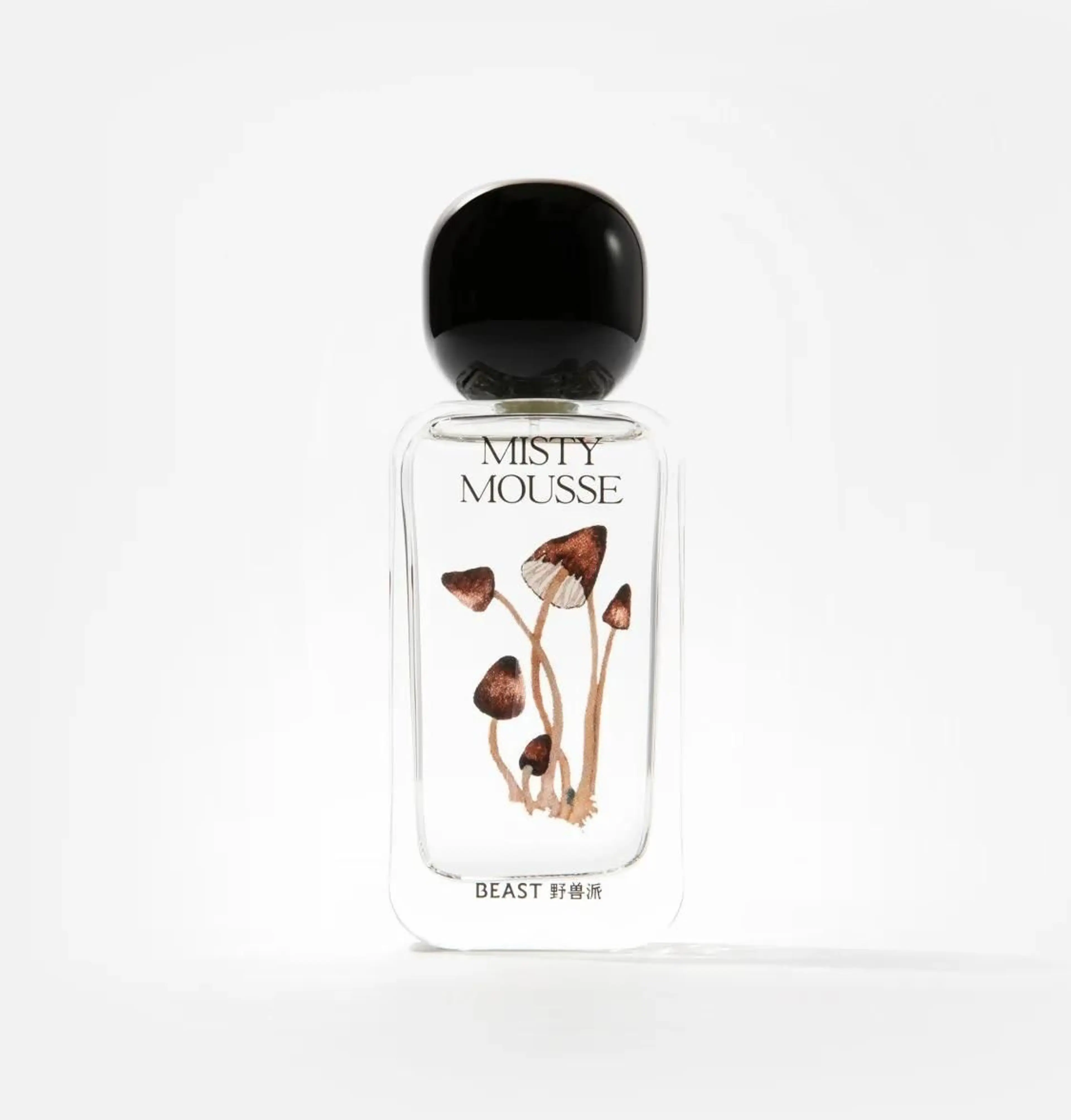 Misty Mousse 露水青苔