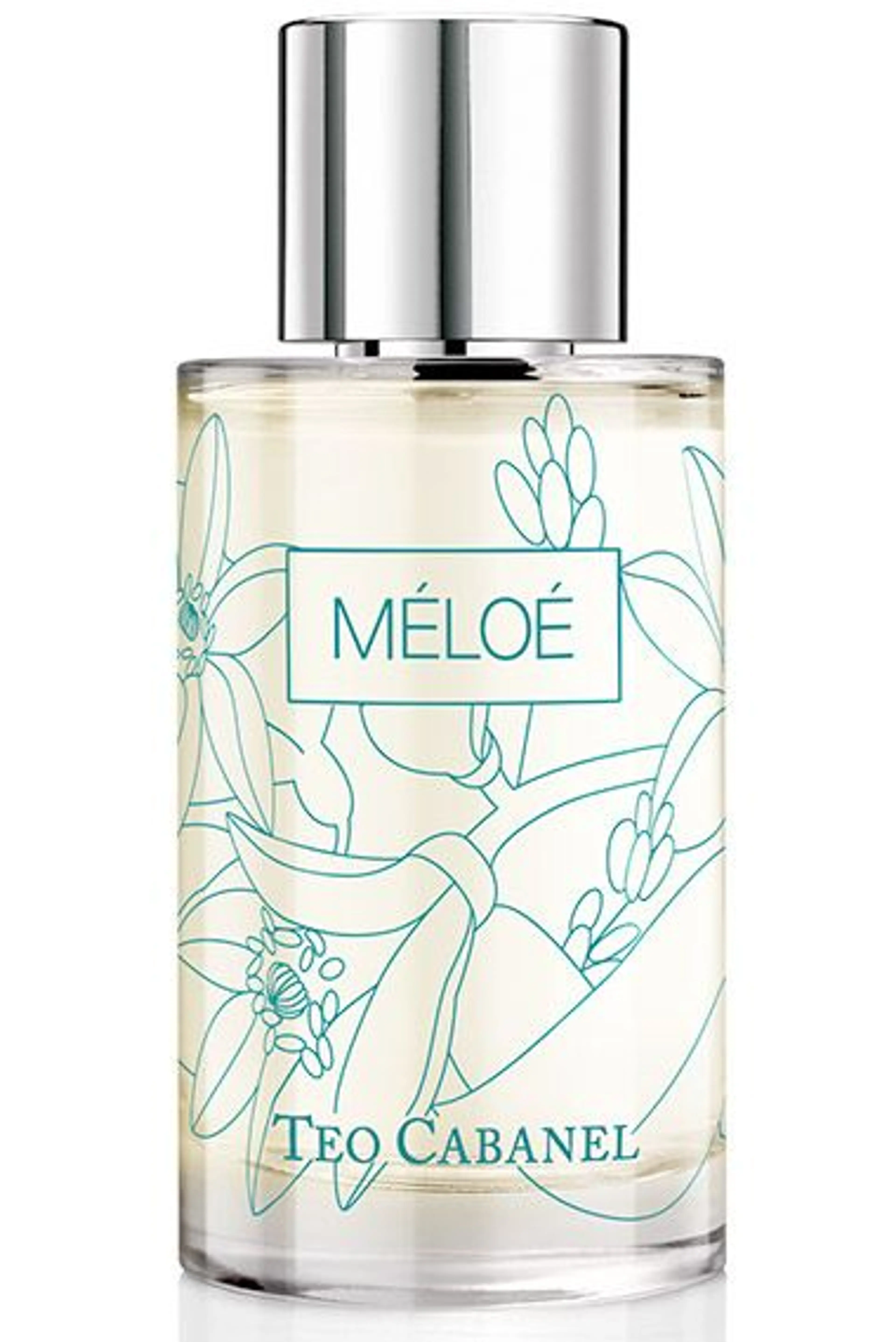 Meloe