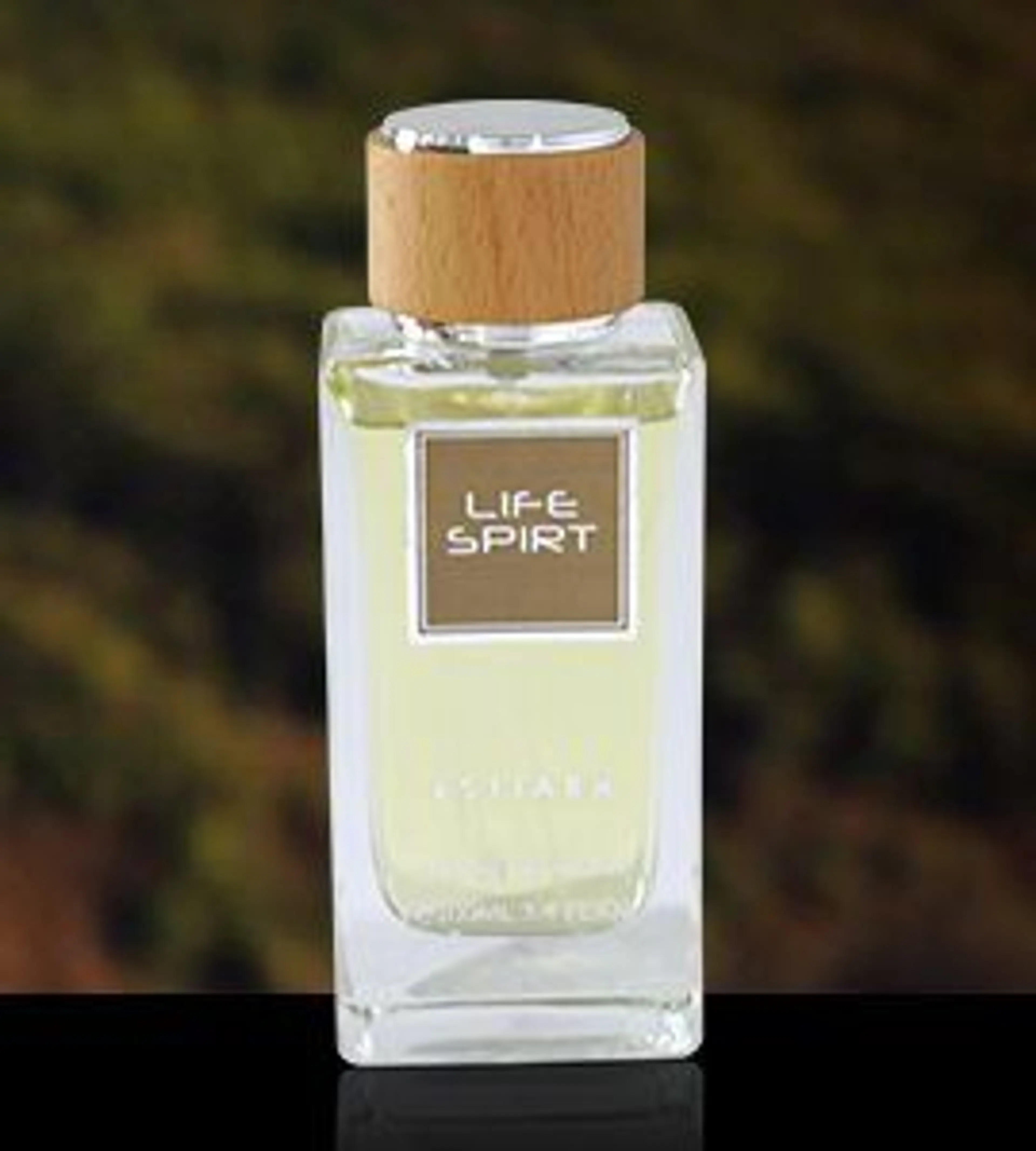 Life Spirit