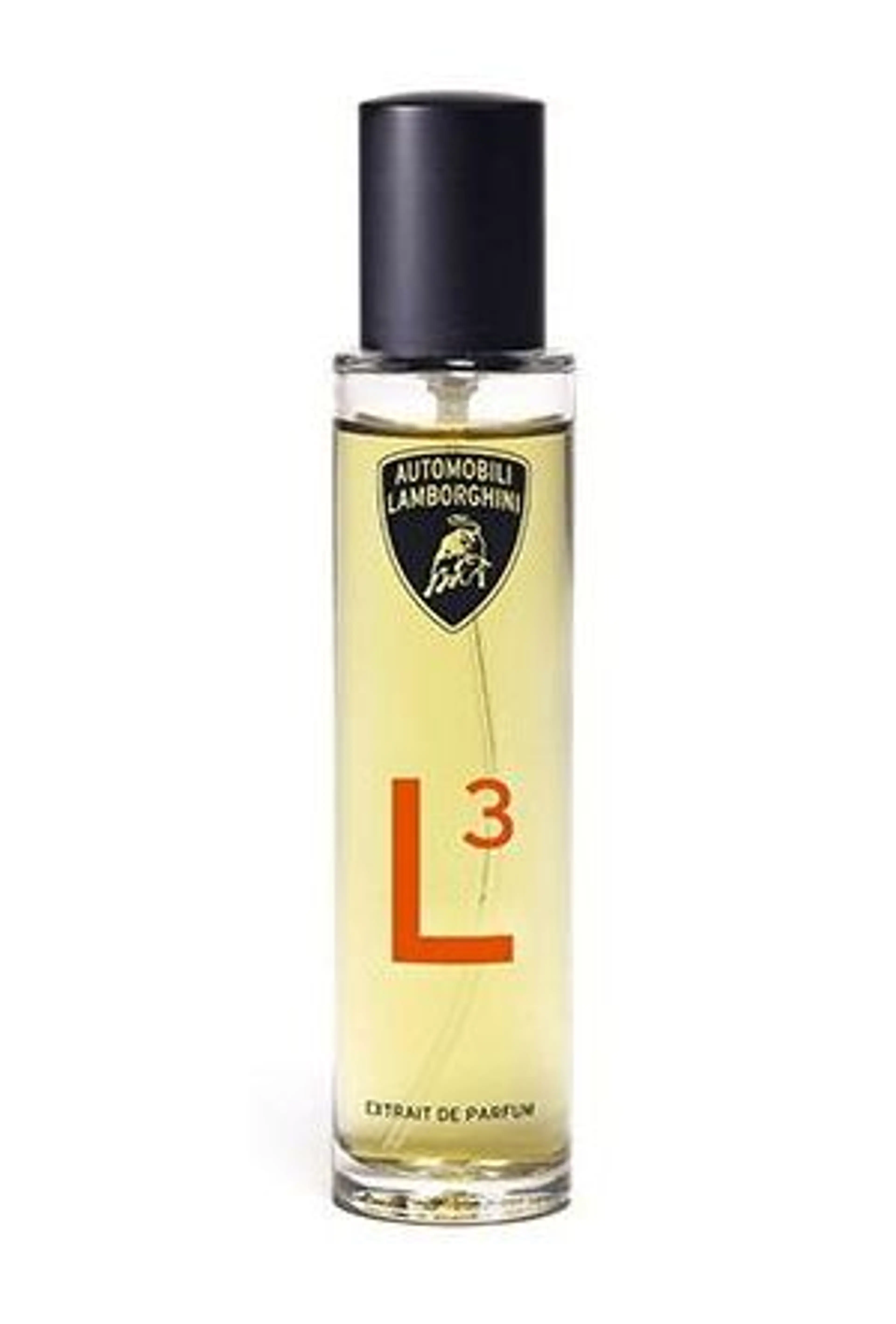 L3