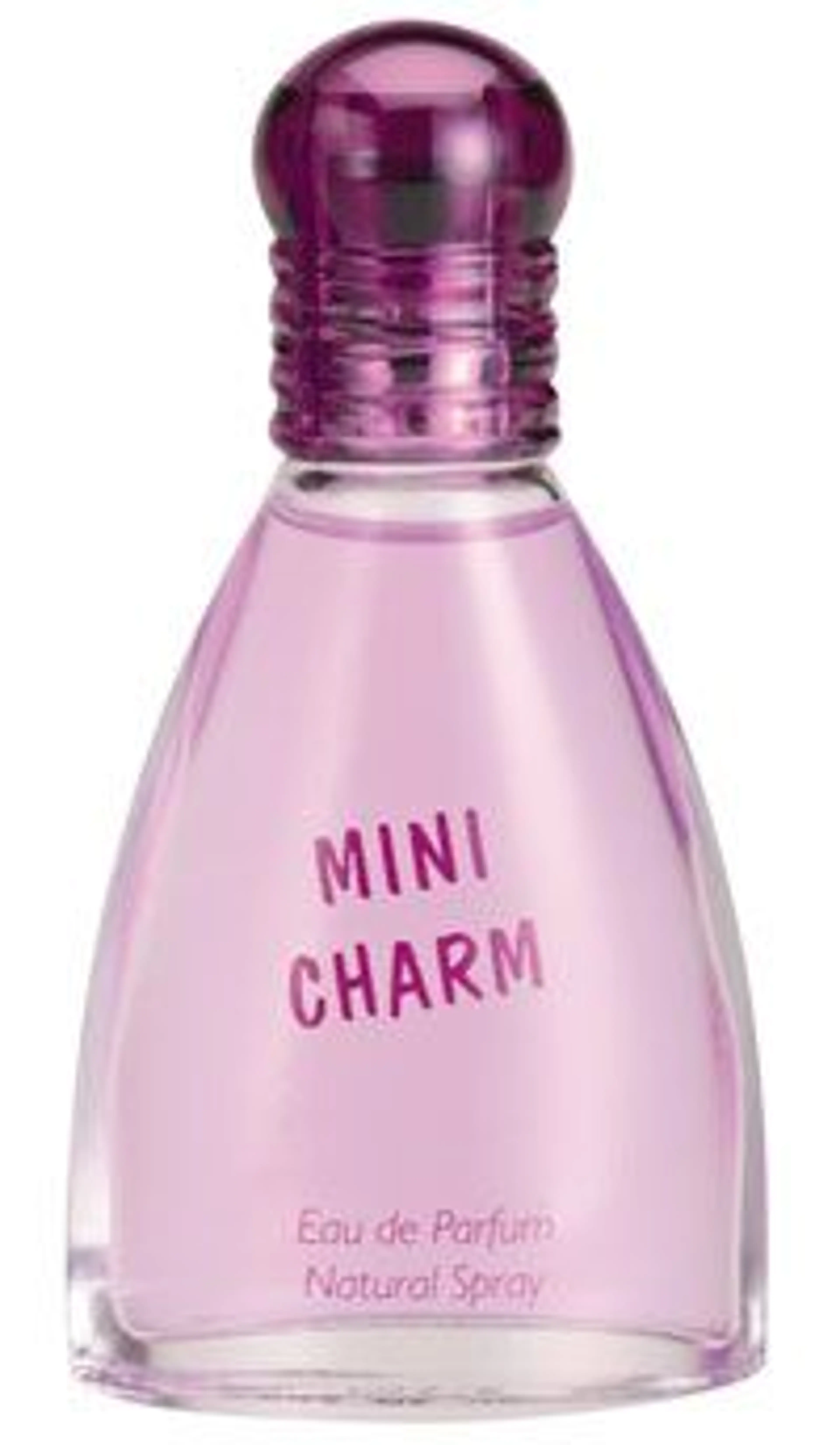 Mini Charm