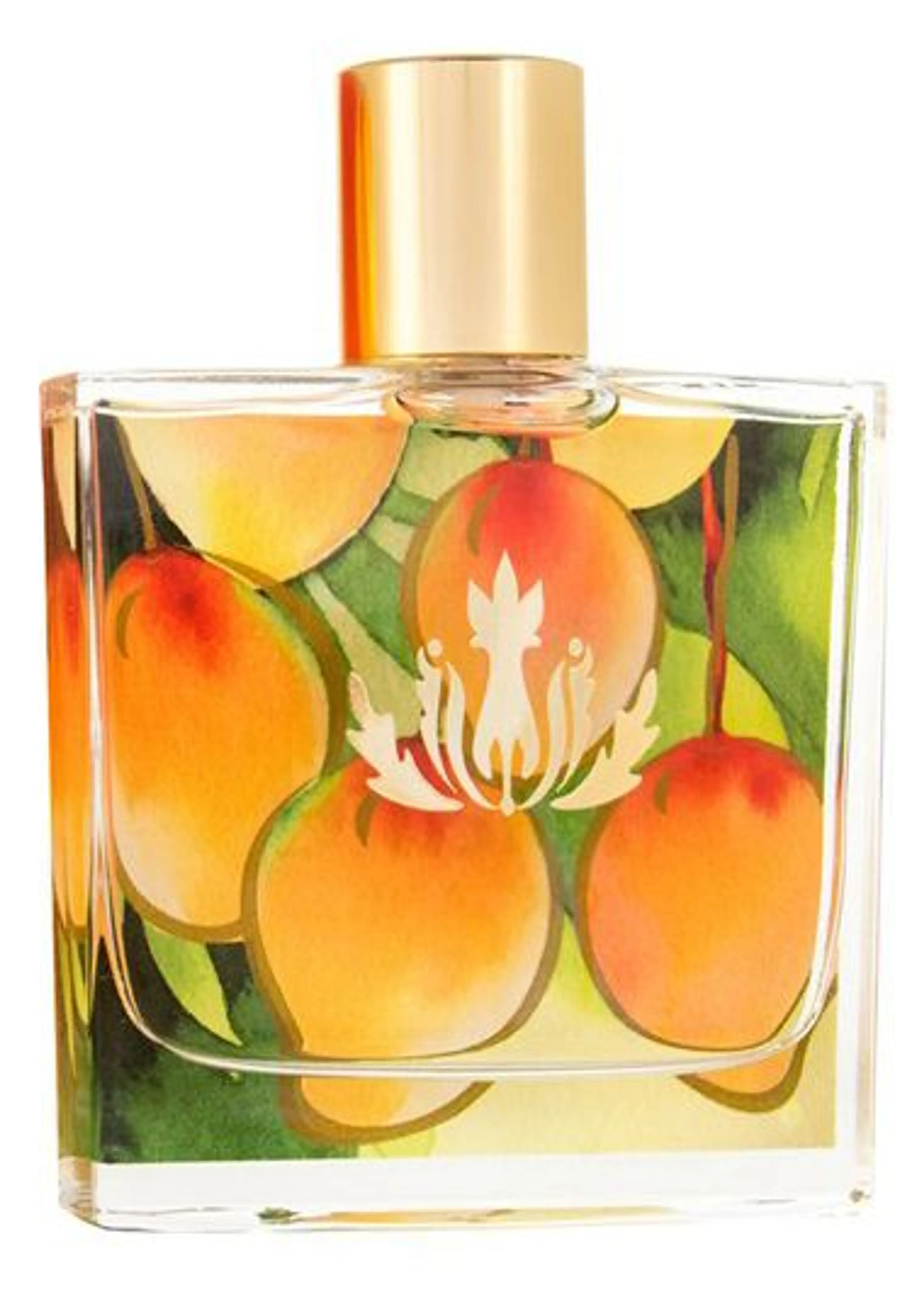Mango Nectar