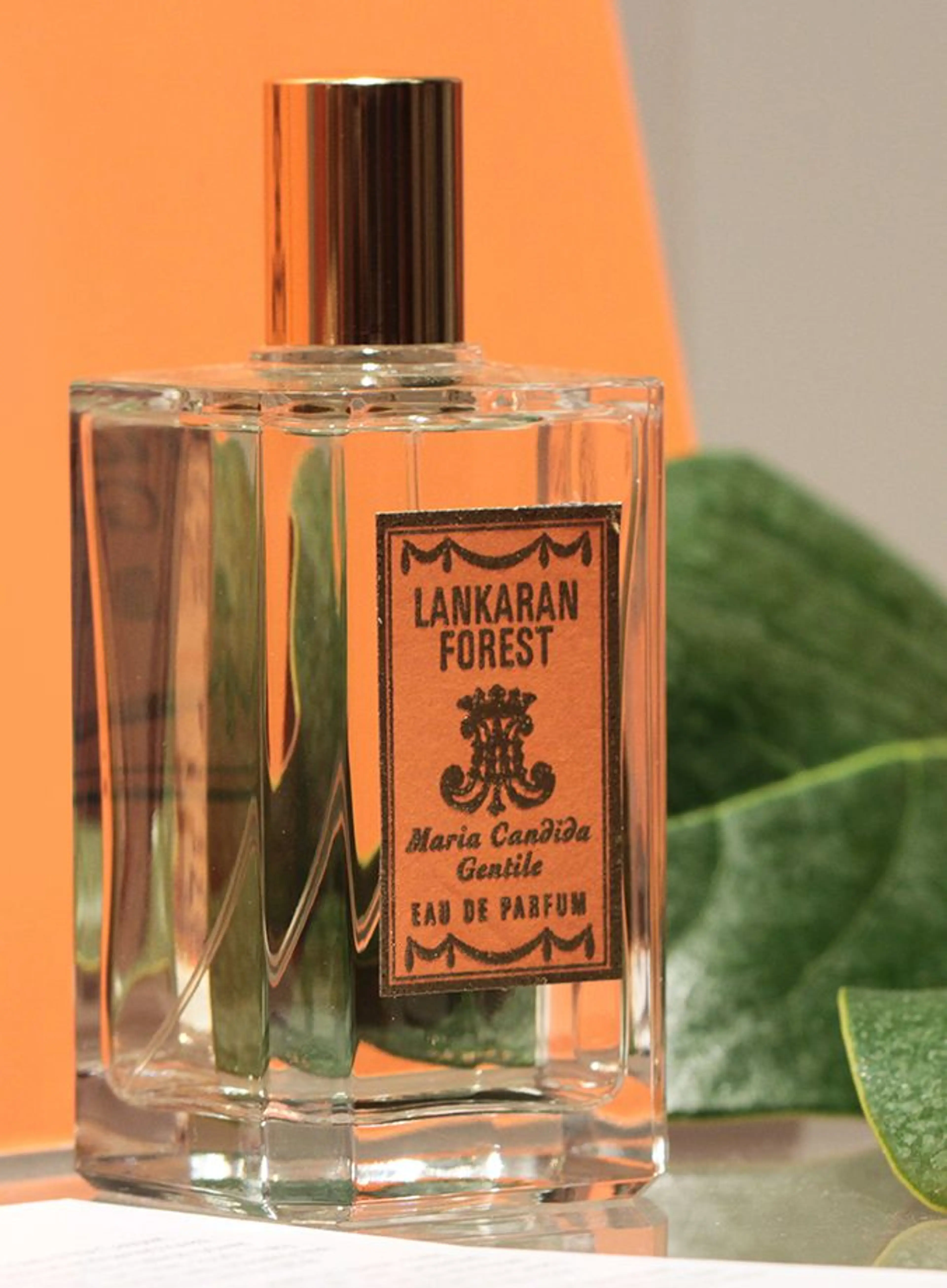 Lankaran Forest