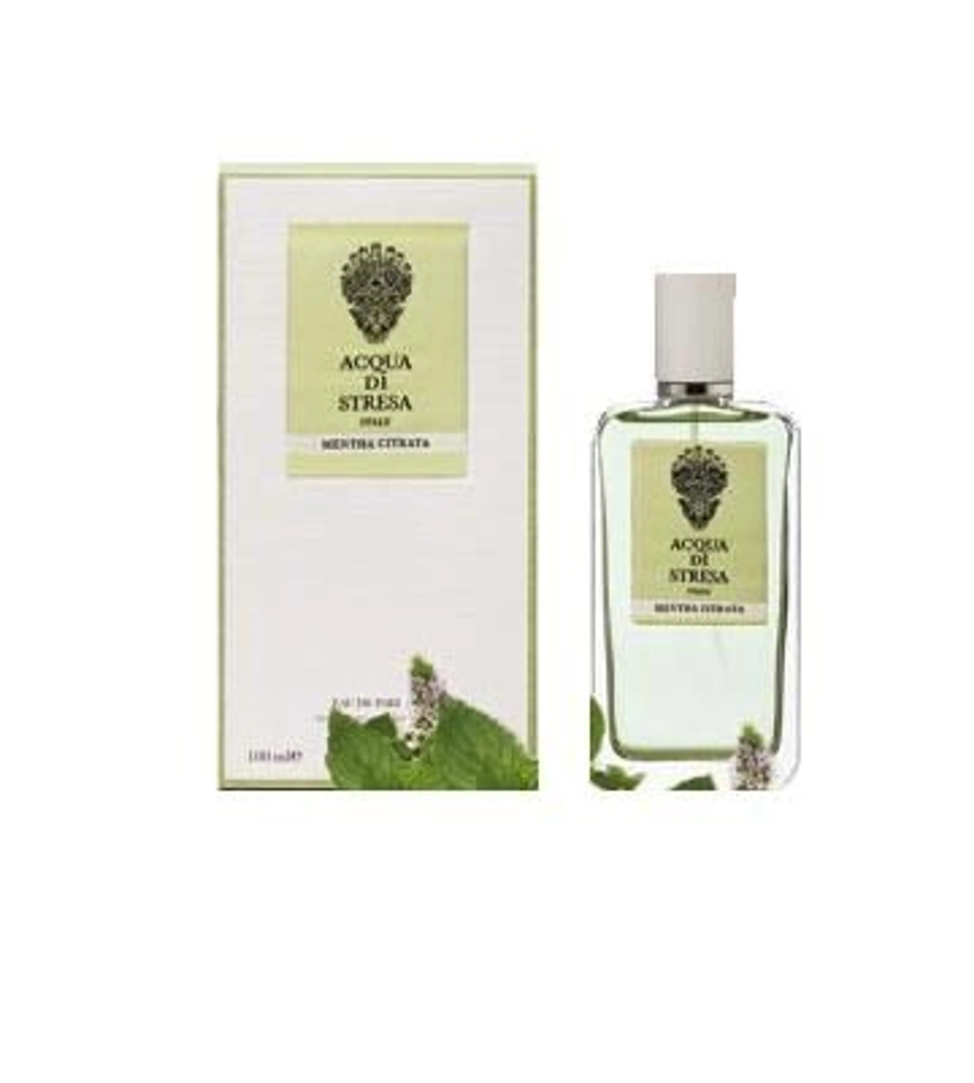 Mentha Citrata