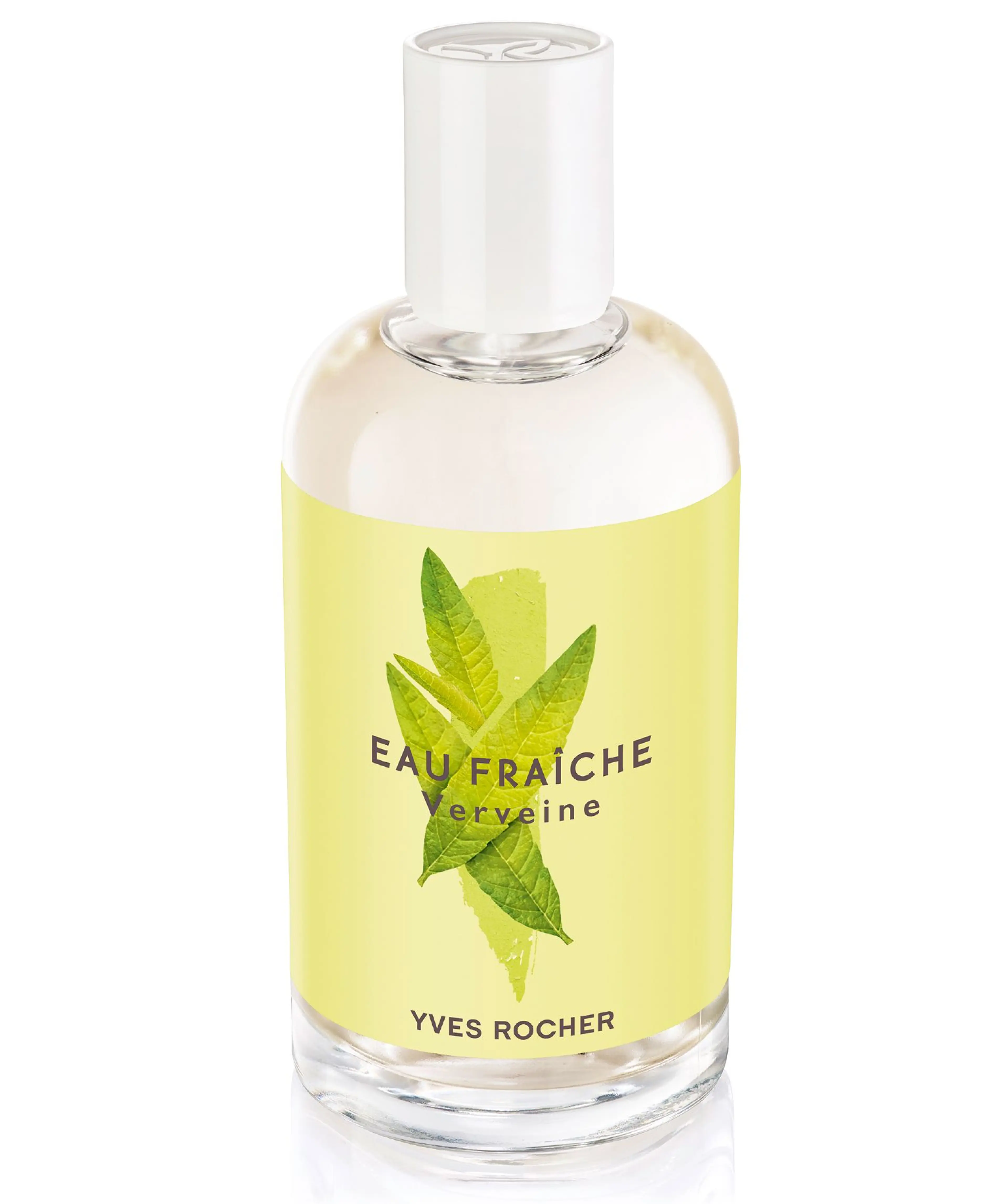 Lemon Verbena (Verveine)