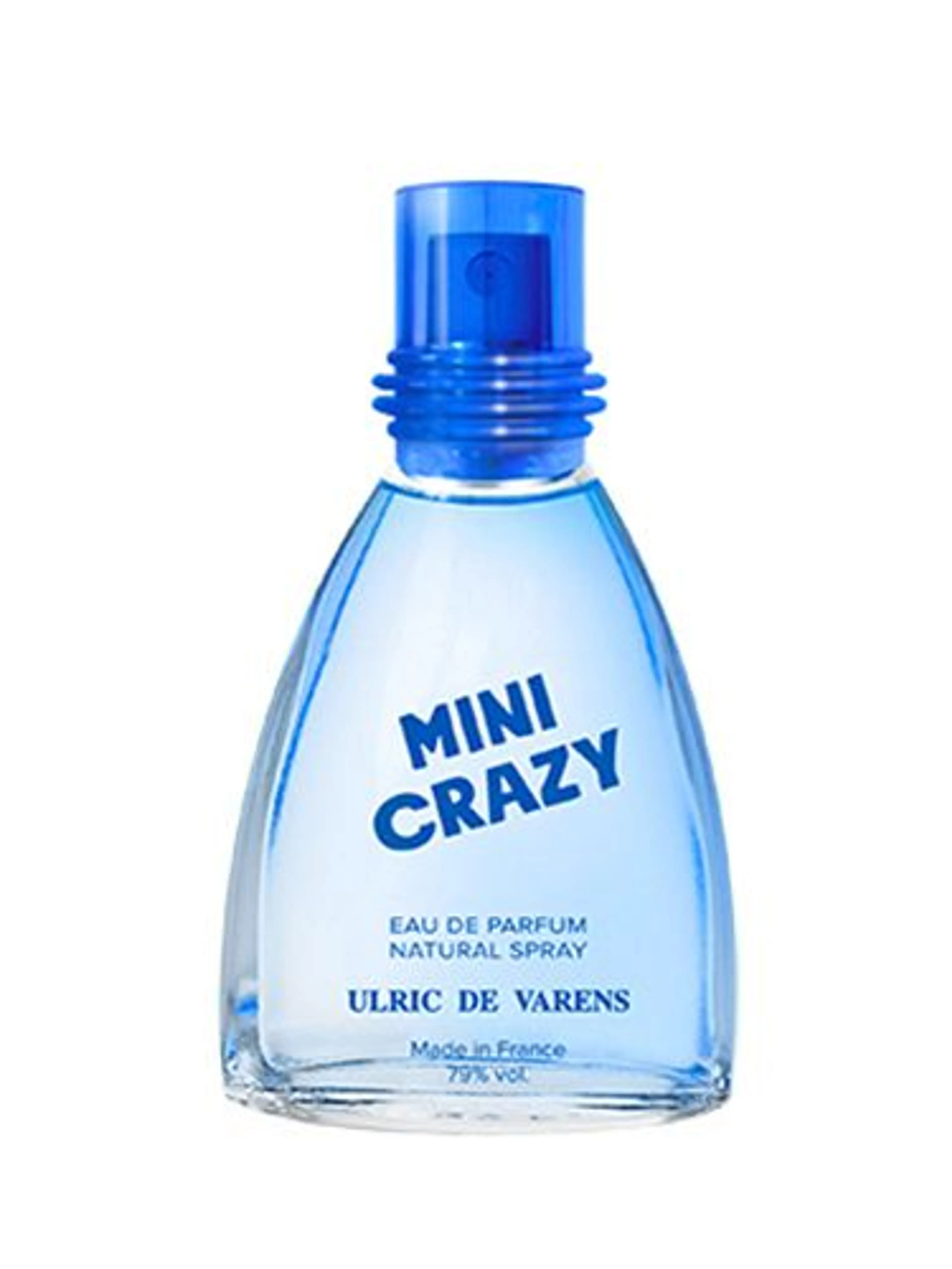 Mini Crazy