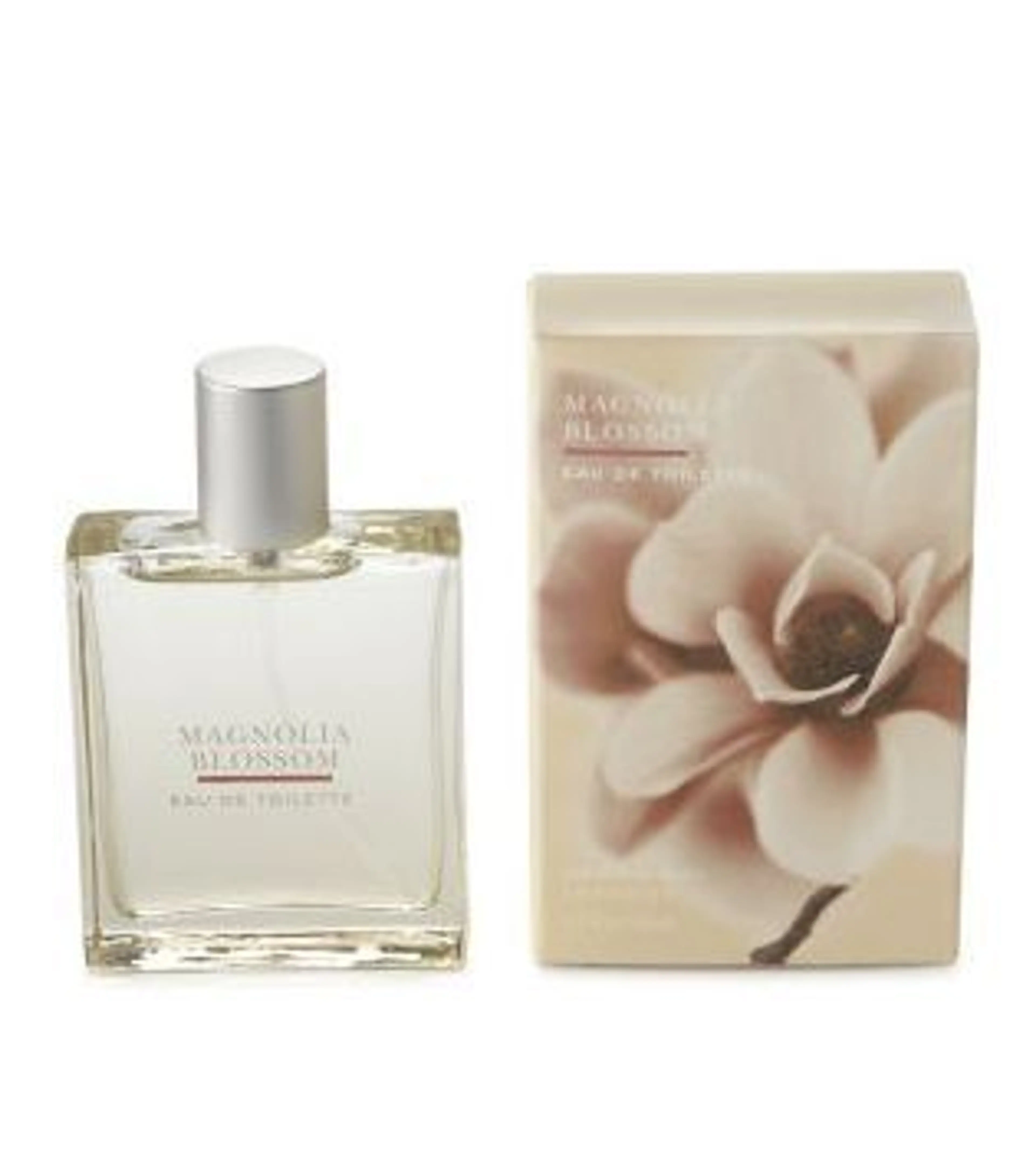 Magnolia Blossom