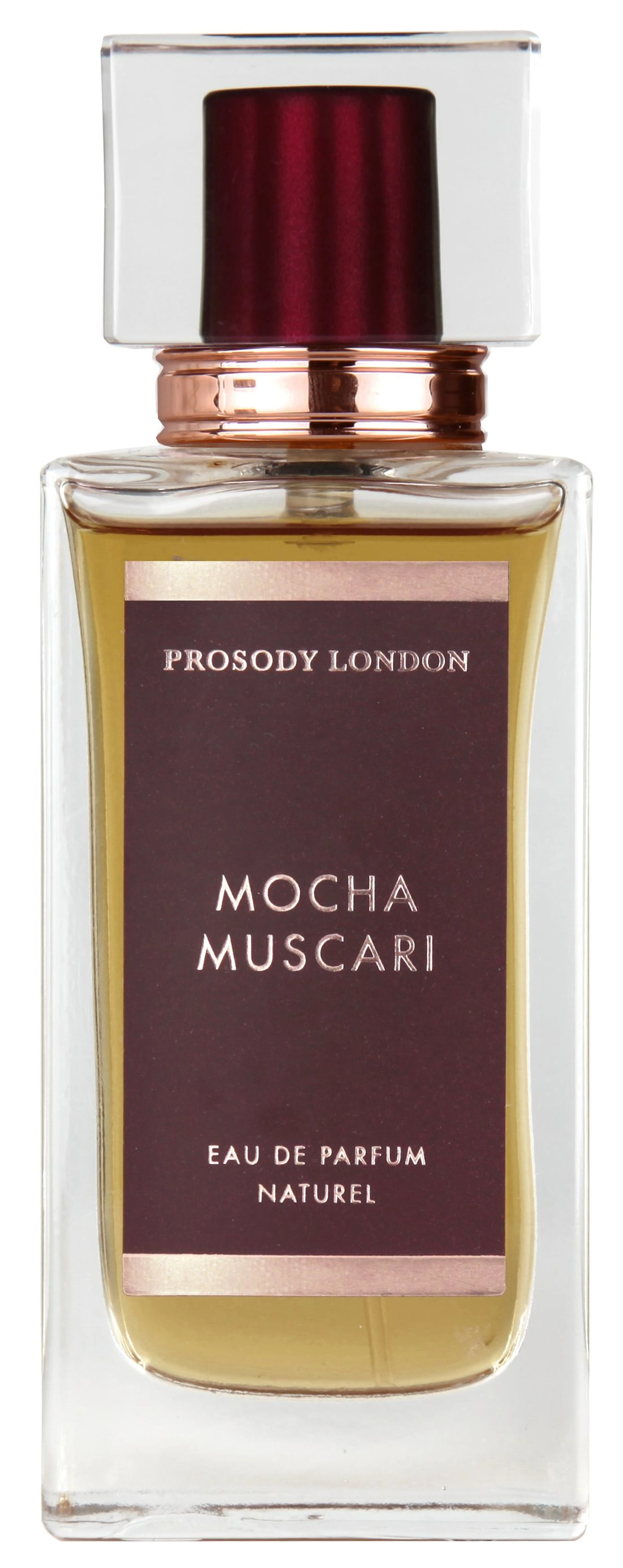 Mocha Muscari