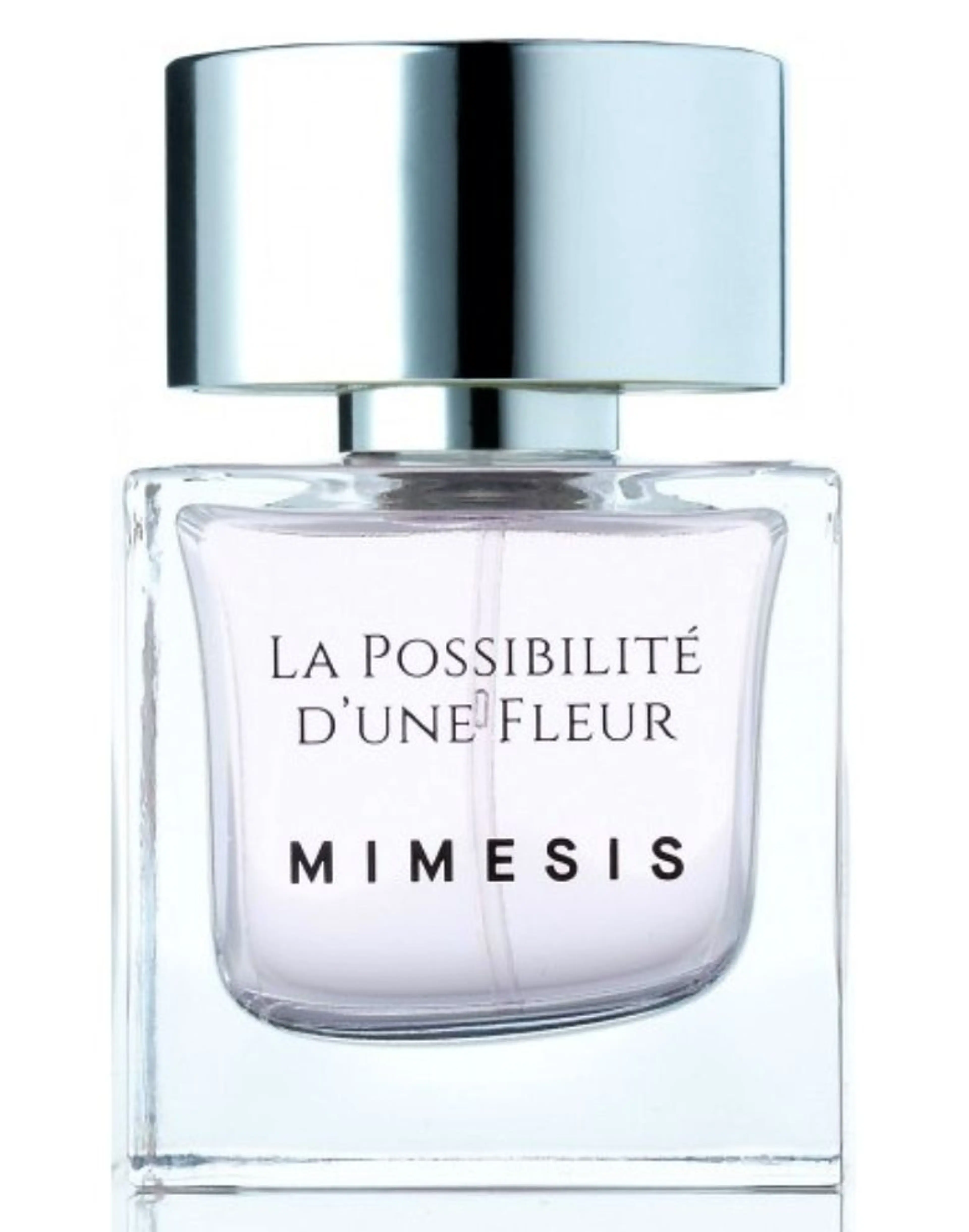 La Possibilité d'Une Fleur