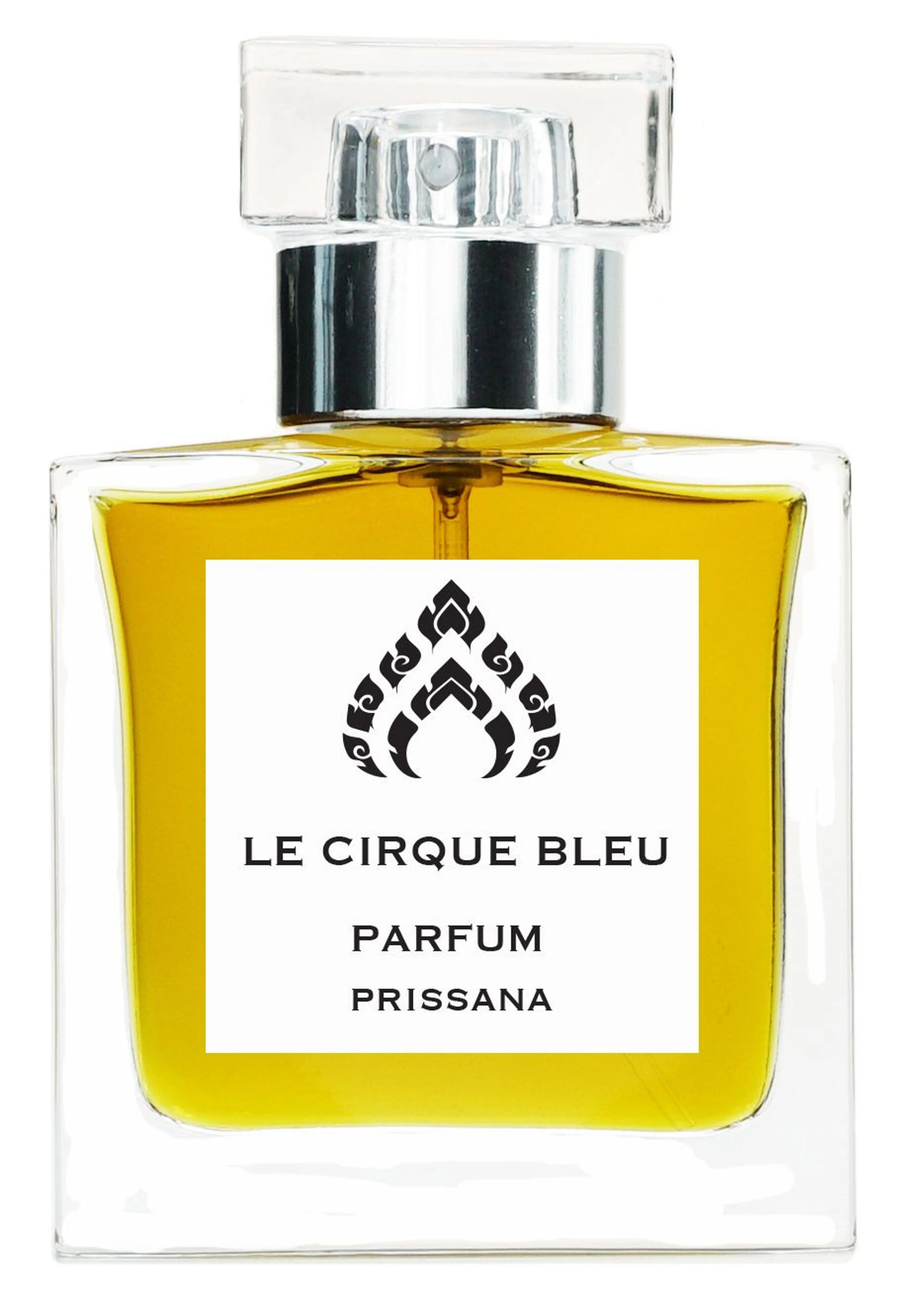 Le Cirque Bleu