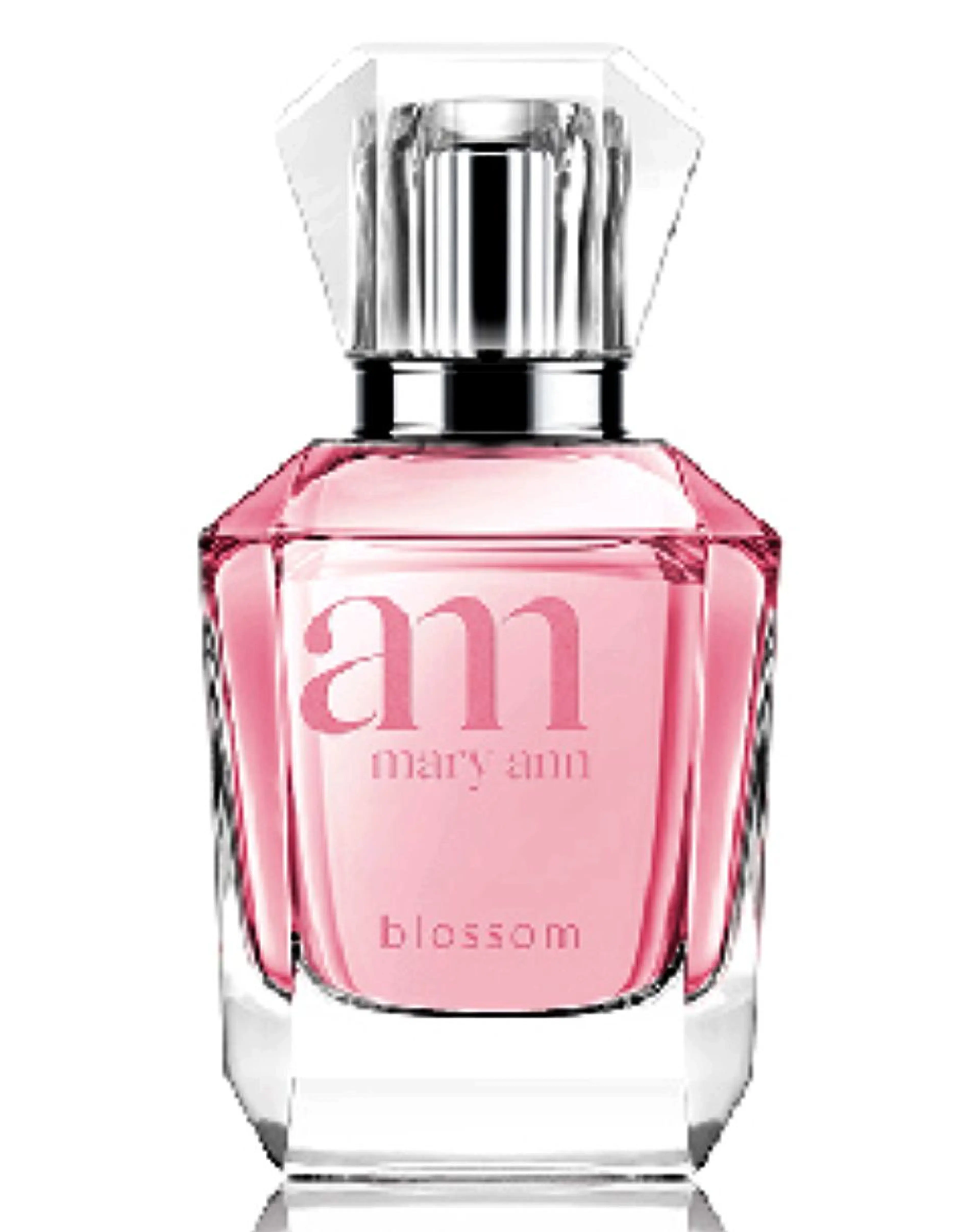 Mary Ann Blossom
