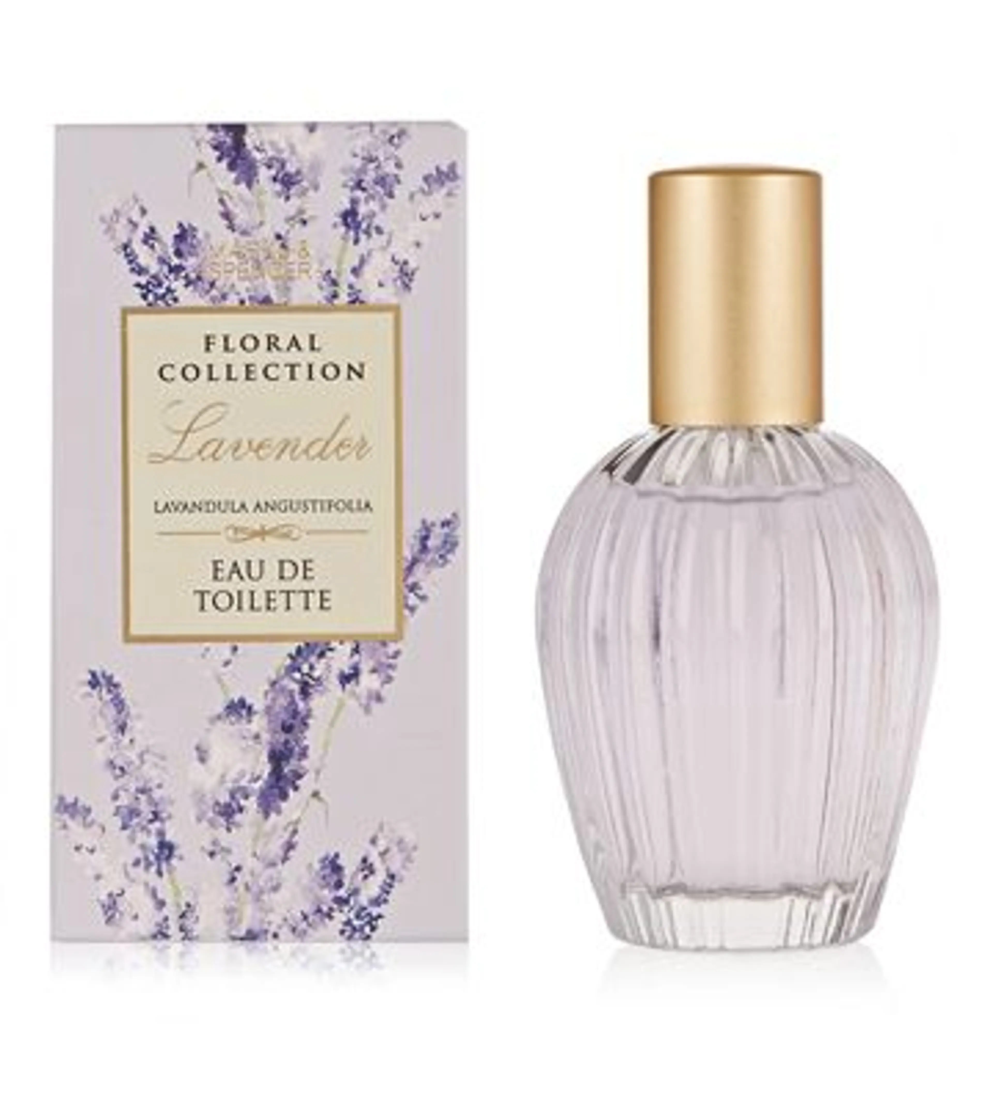 Lavender