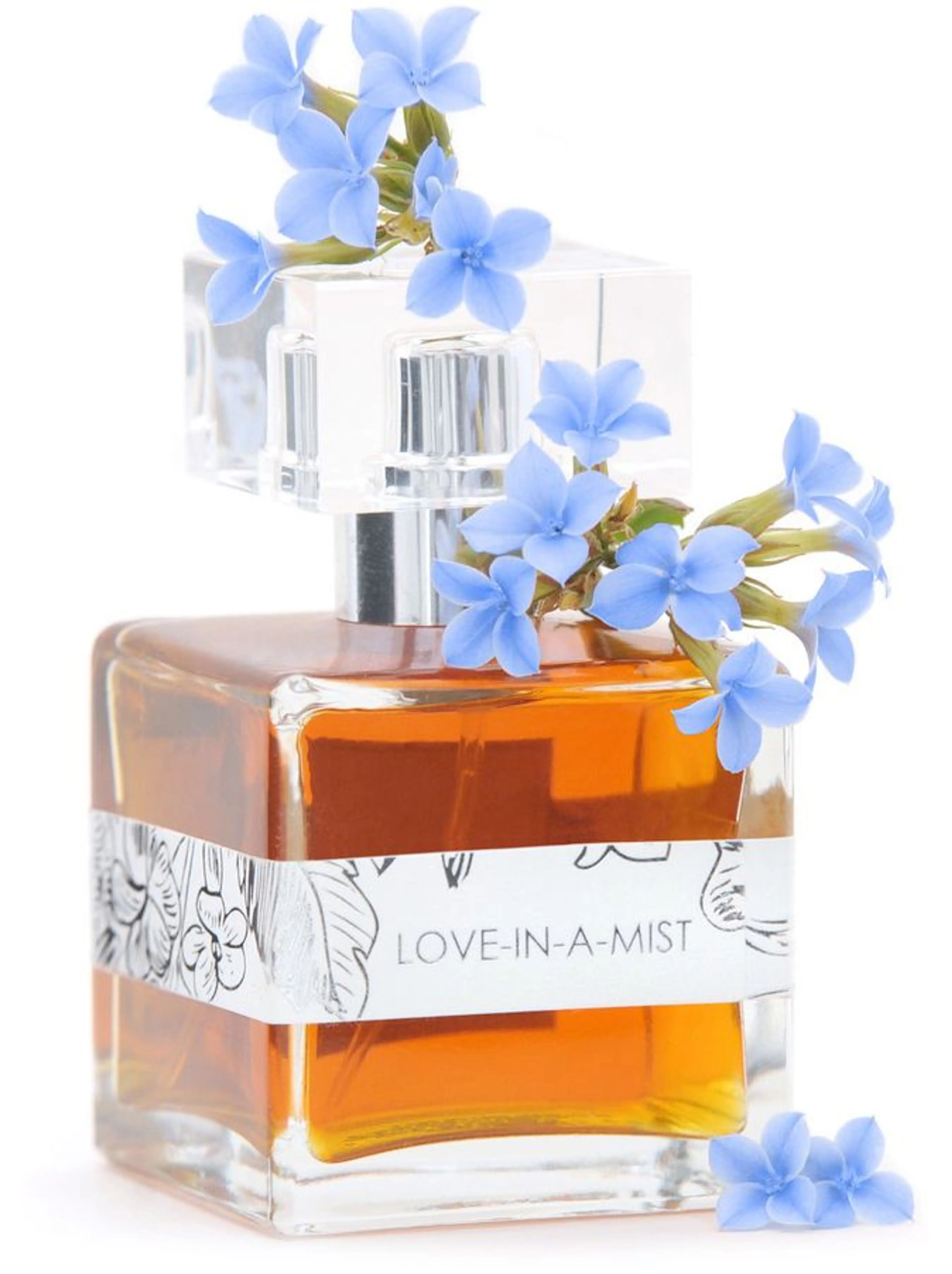 Love-In-A-Mist